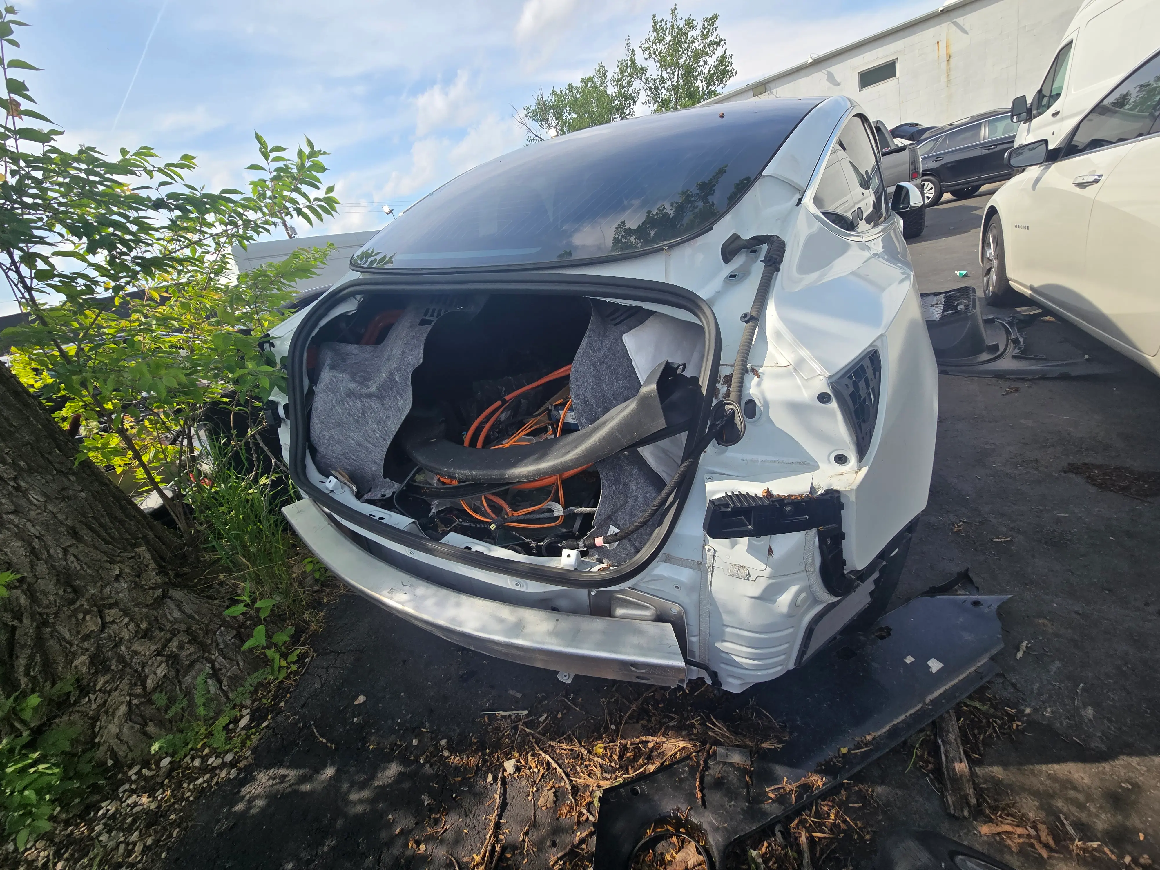 2020 Tesla Model 3 Standard Range Plus photo 5