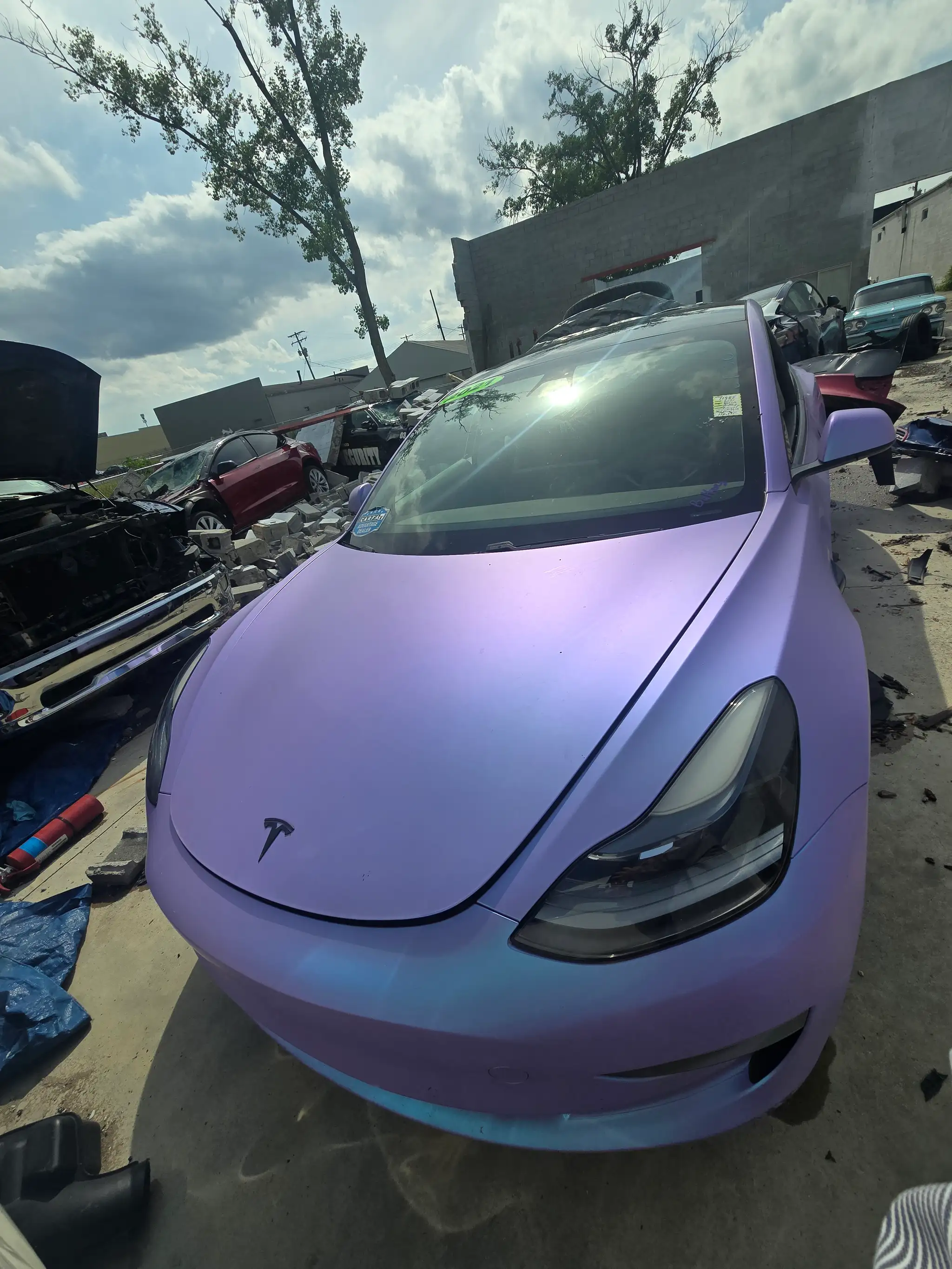 2021 Tesla Model 3 Standard Range Plus's photo
