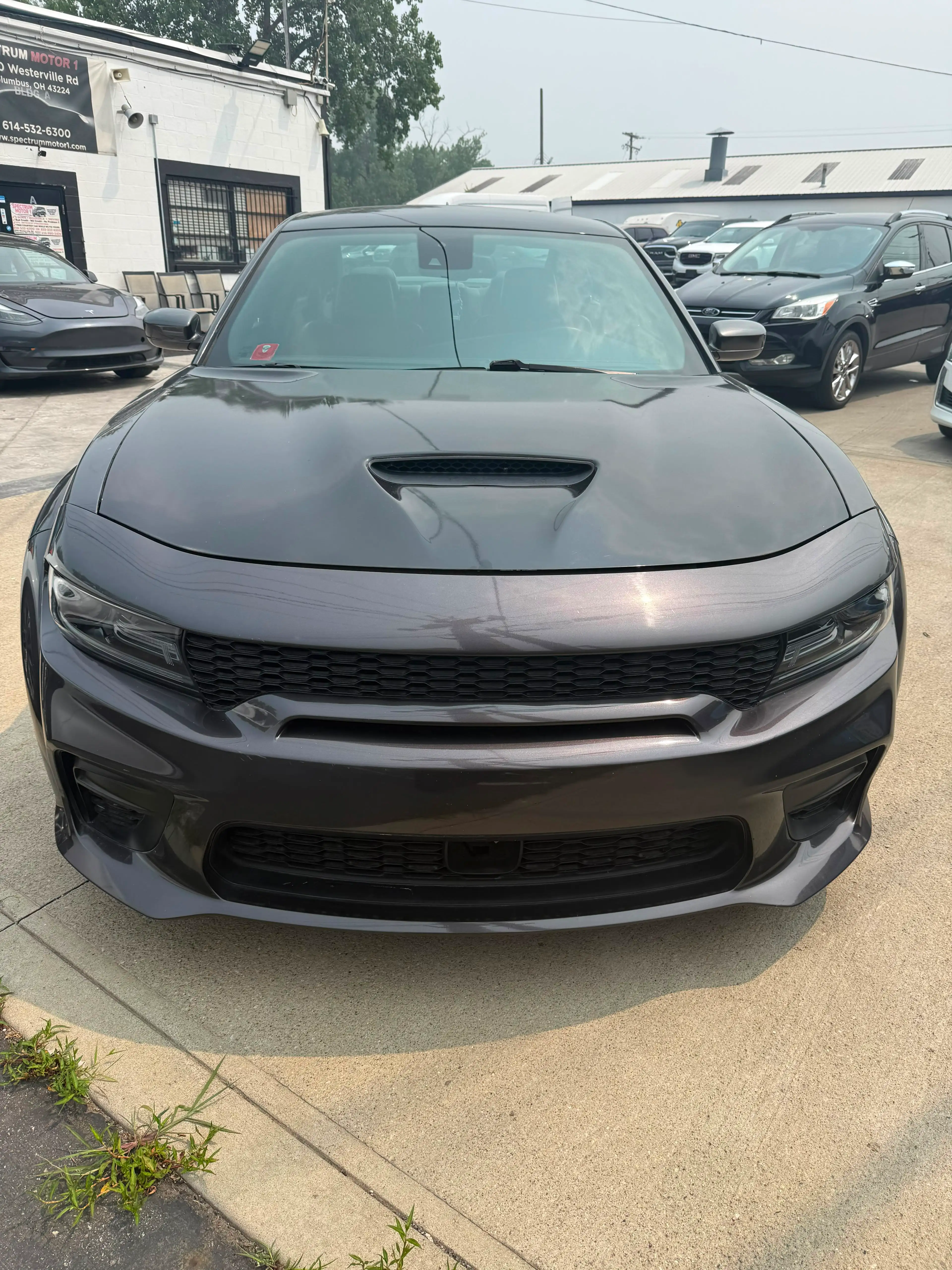 2020 Dodge Charger Scat Pack Widebody's photo
