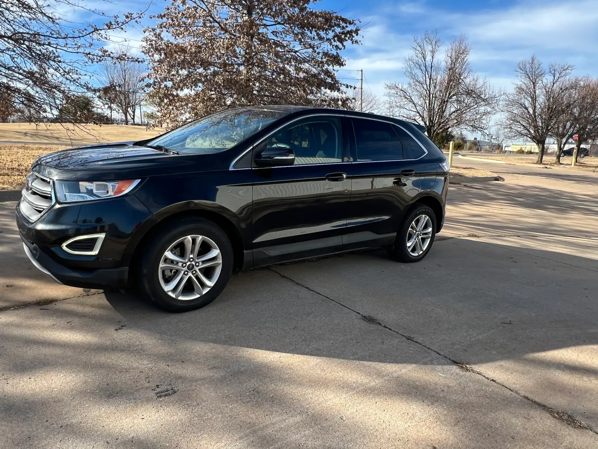 2015 Ford Edge SEL's photo