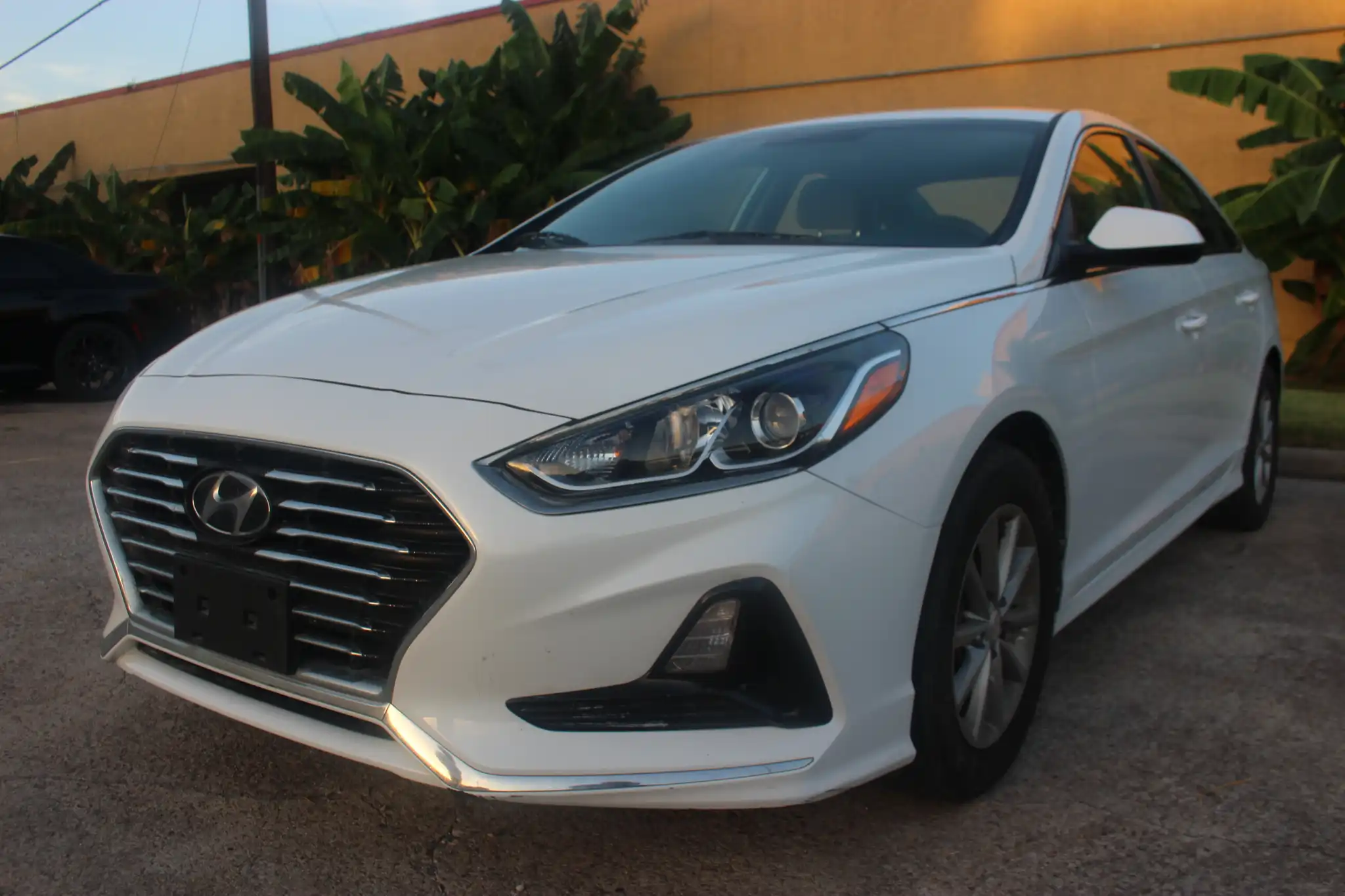 2019 Hyundai Sonata SE SULEV's photo