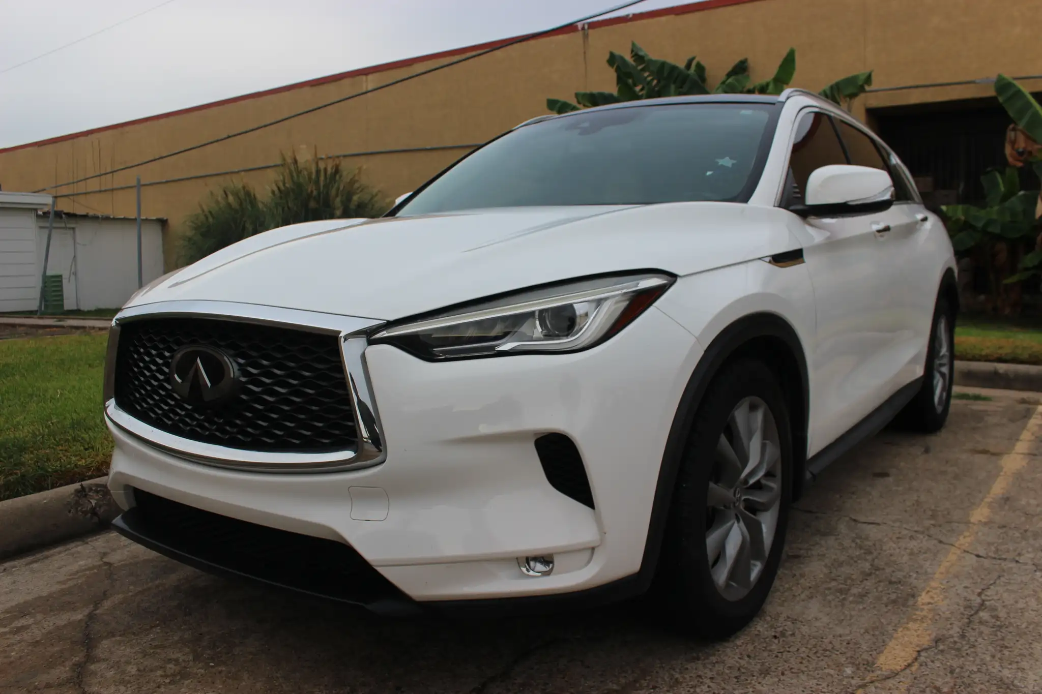 2019 INFINITI QX50 Luxe FWD's photo
