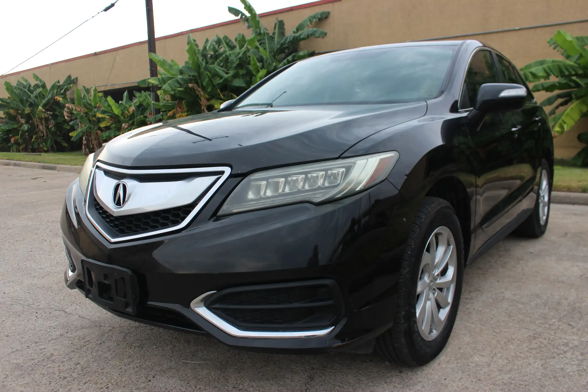 2017 Acura RDX SH-AWD's photo