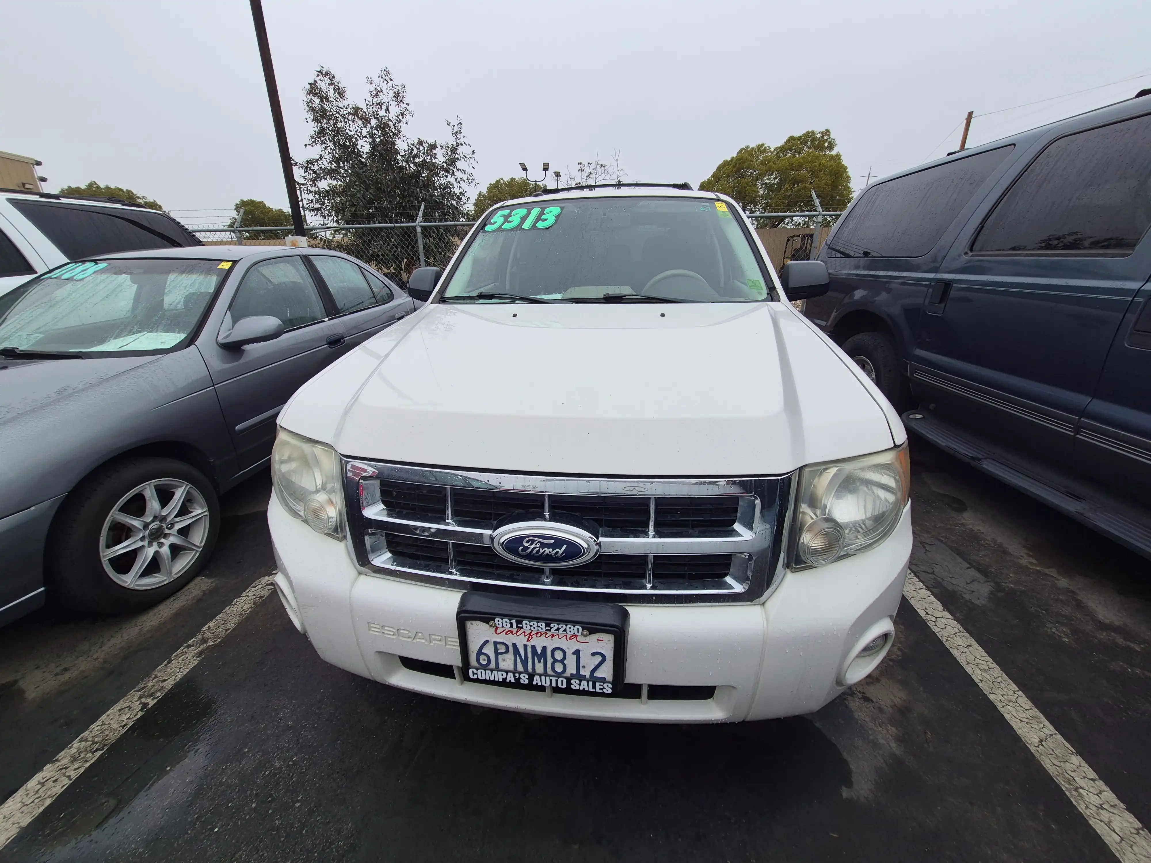 2011 Ford Escape XLT's photo