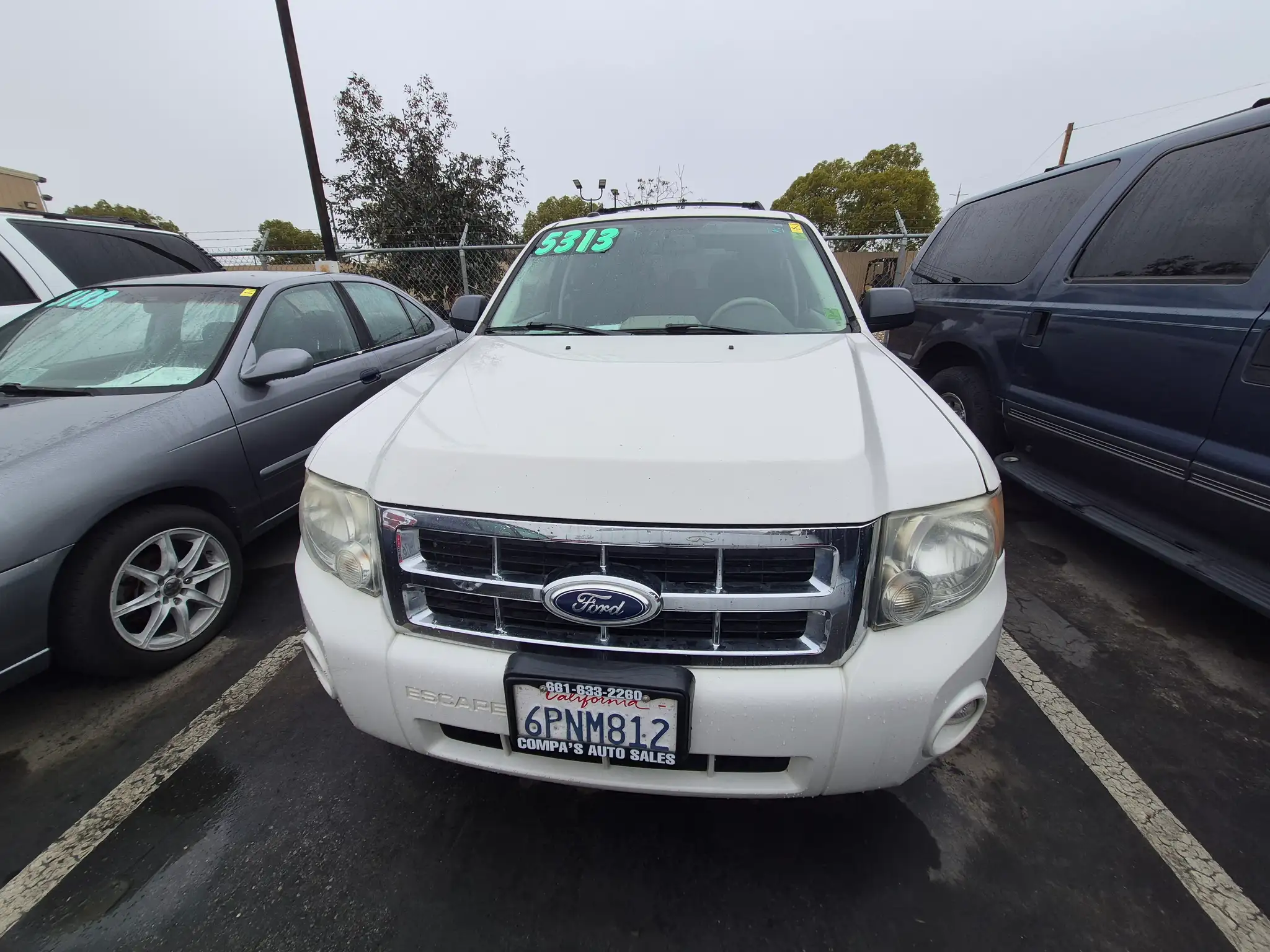 2011 Ford Escape XLT's photo