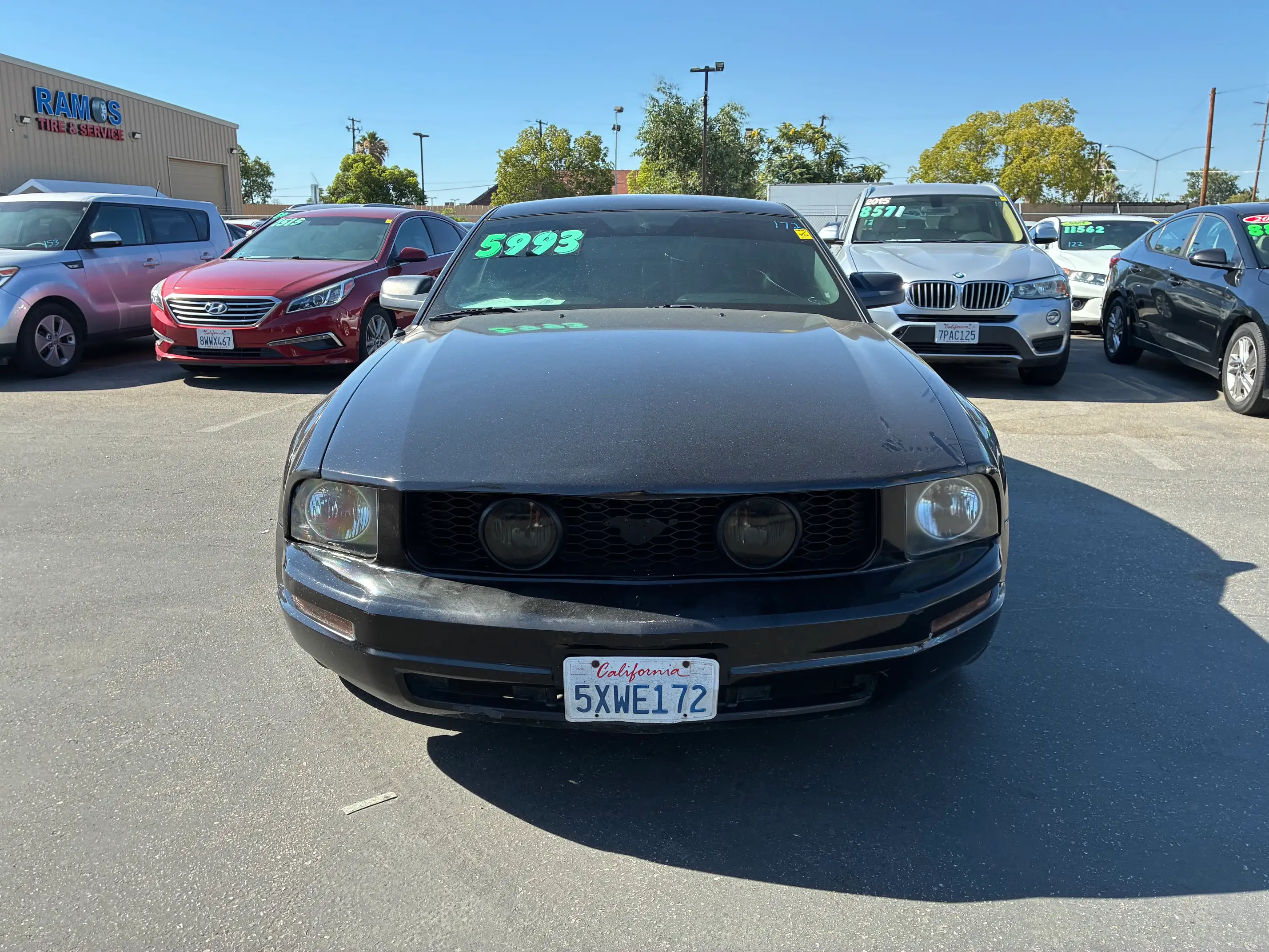 2005 Ford Mustang's photo