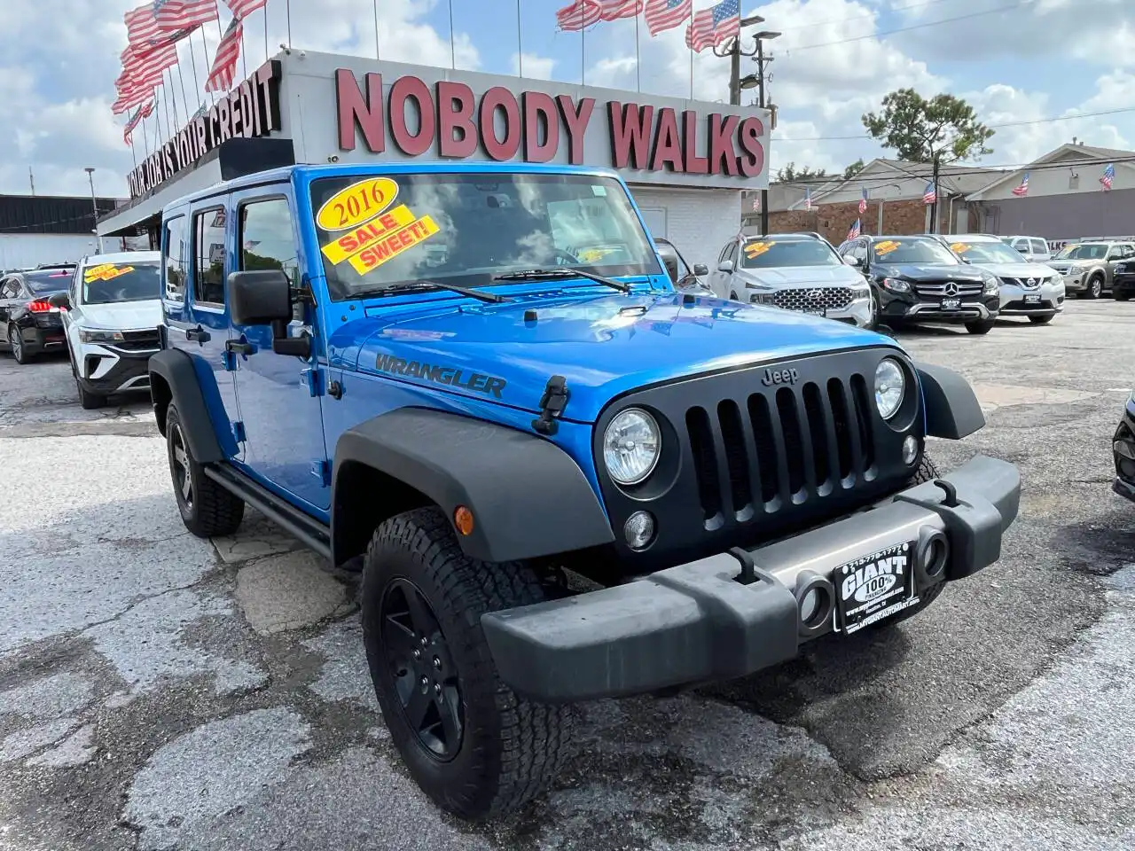2016 Jeep Wrangler Black Bear's photo