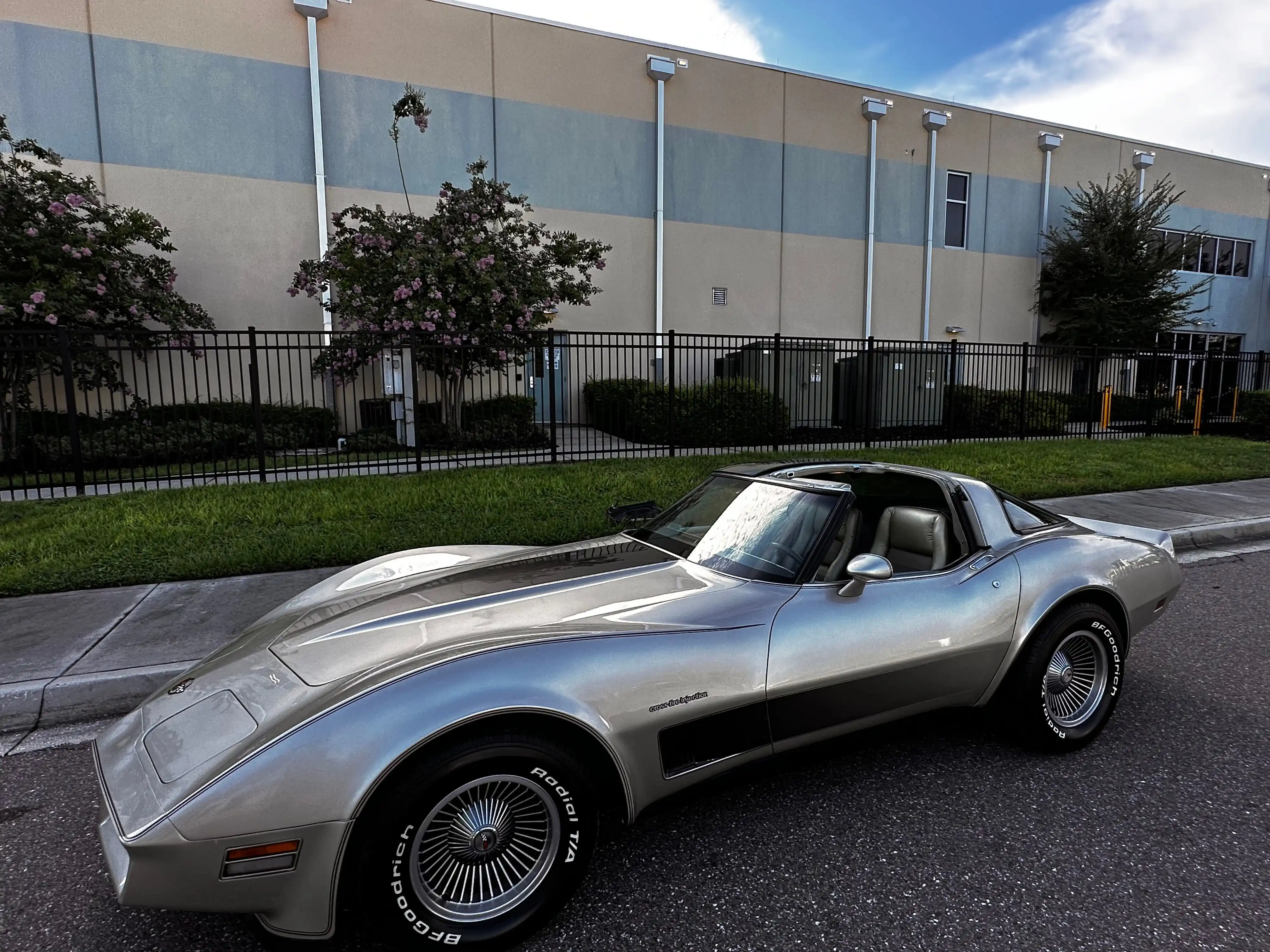 1982 Chevrolet Corvette's photo