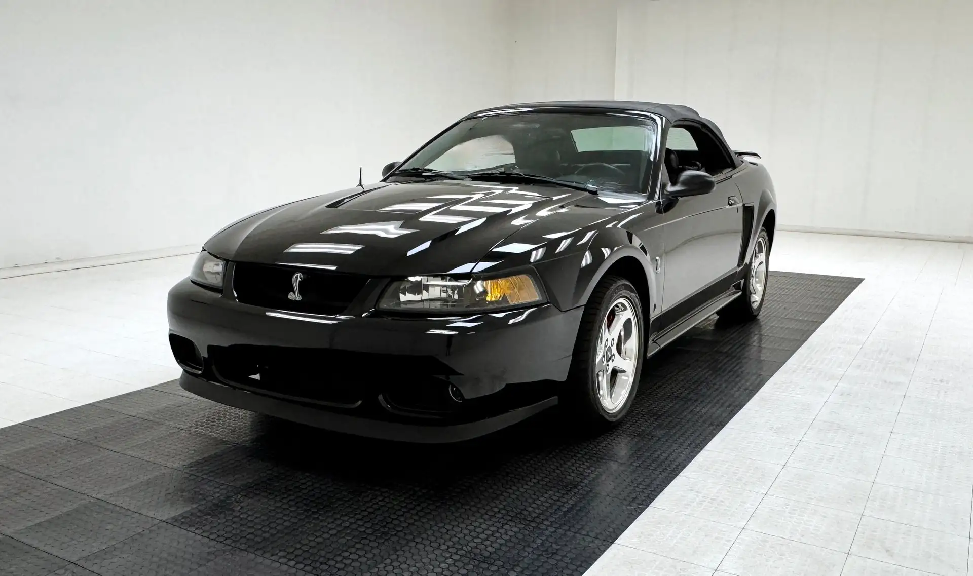 2001 Ford Mustang 4.6 Cobra SVT's photo