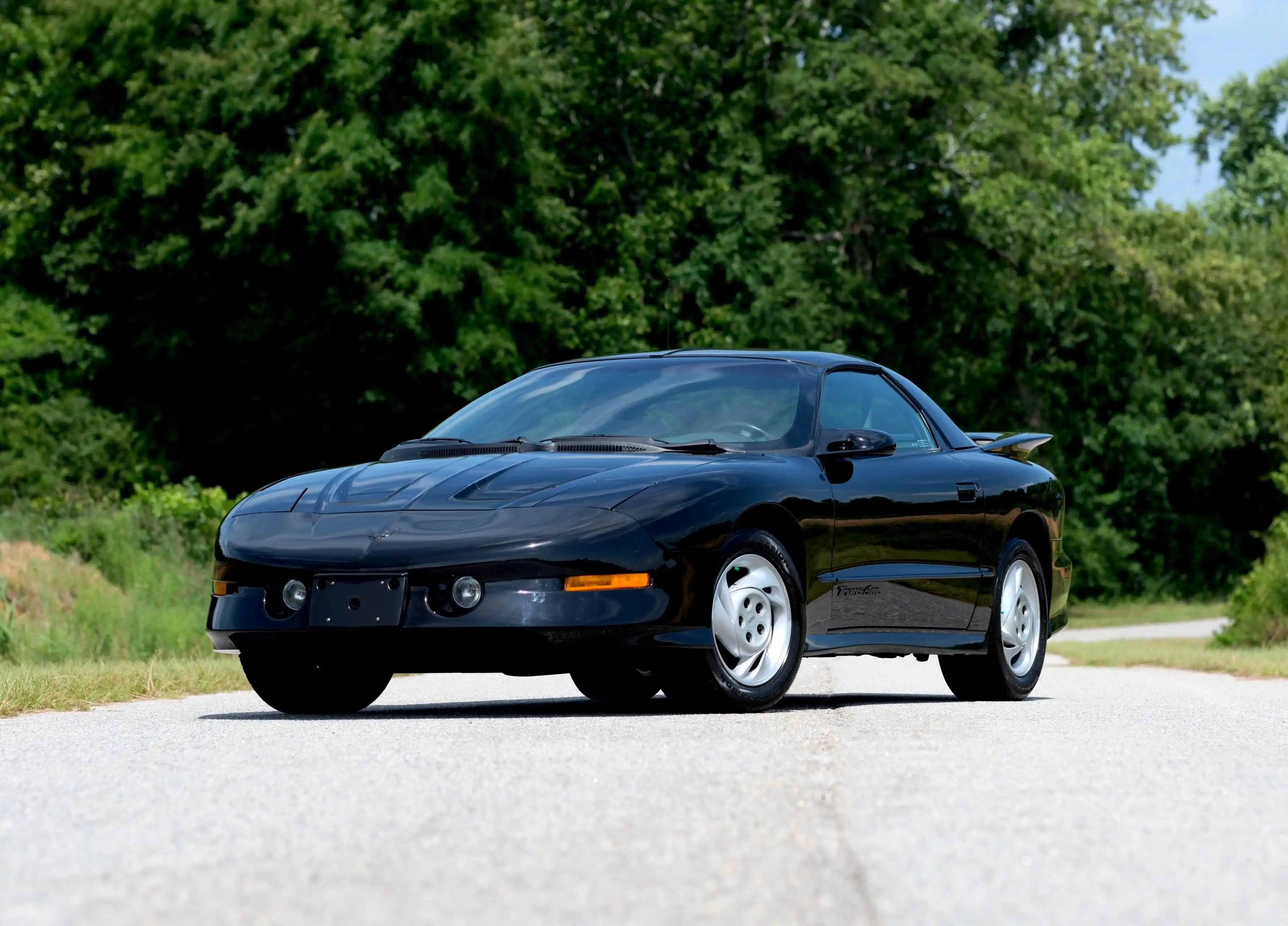 1993 Pontiac Firebird's photo