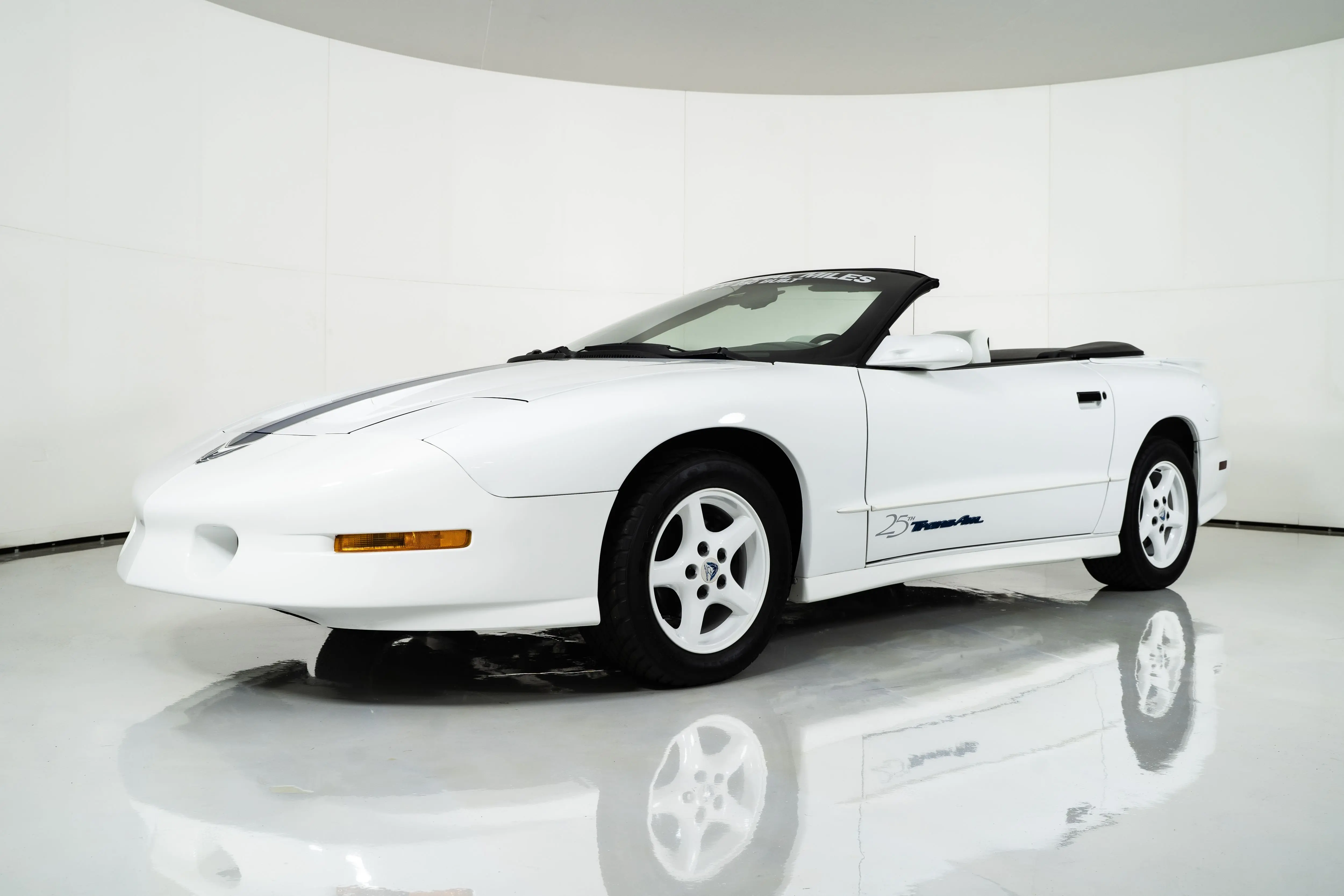 1994 Pontiac Firebird undefined photo 5