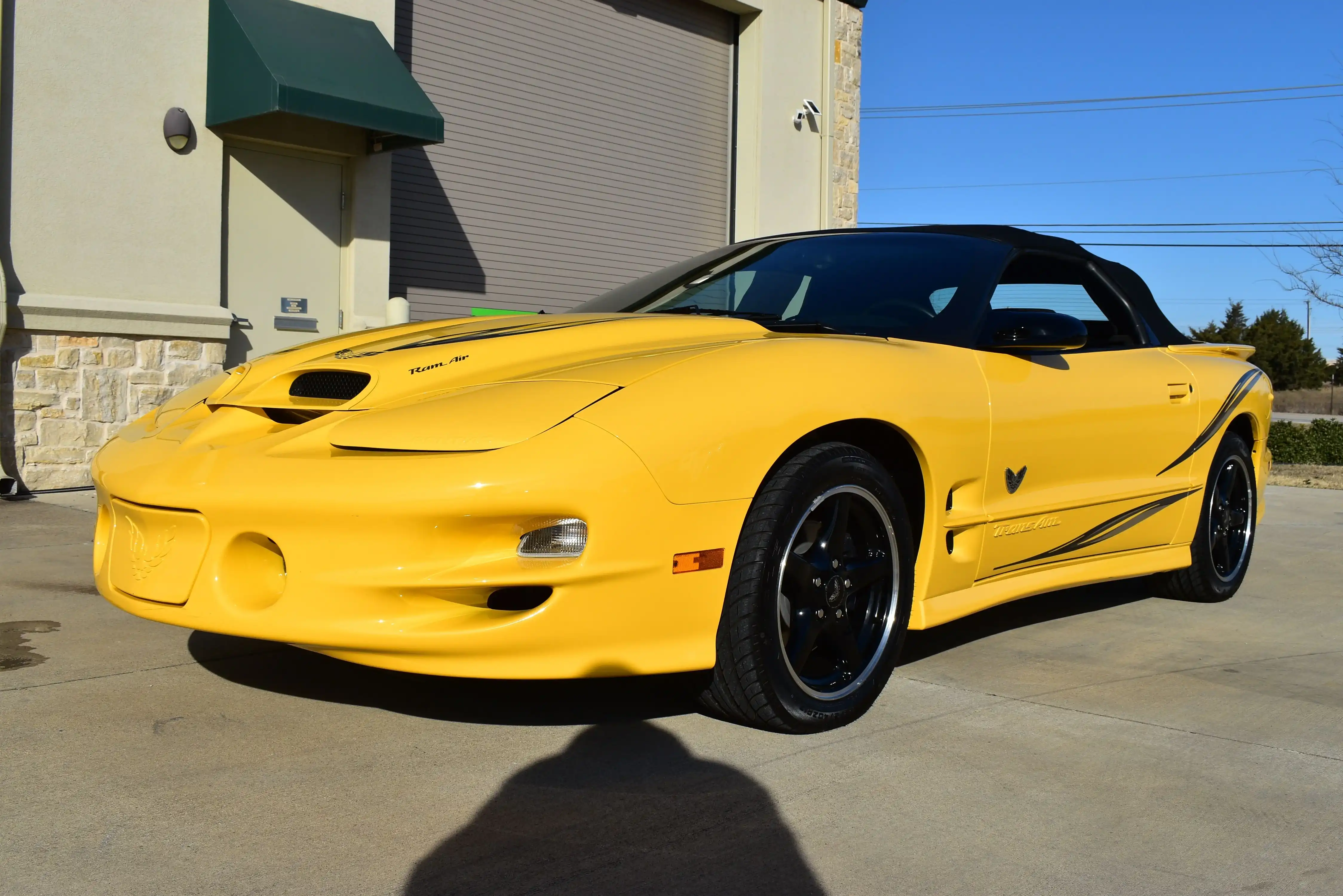 2002 Pontiac Firebird Trans Am's photo