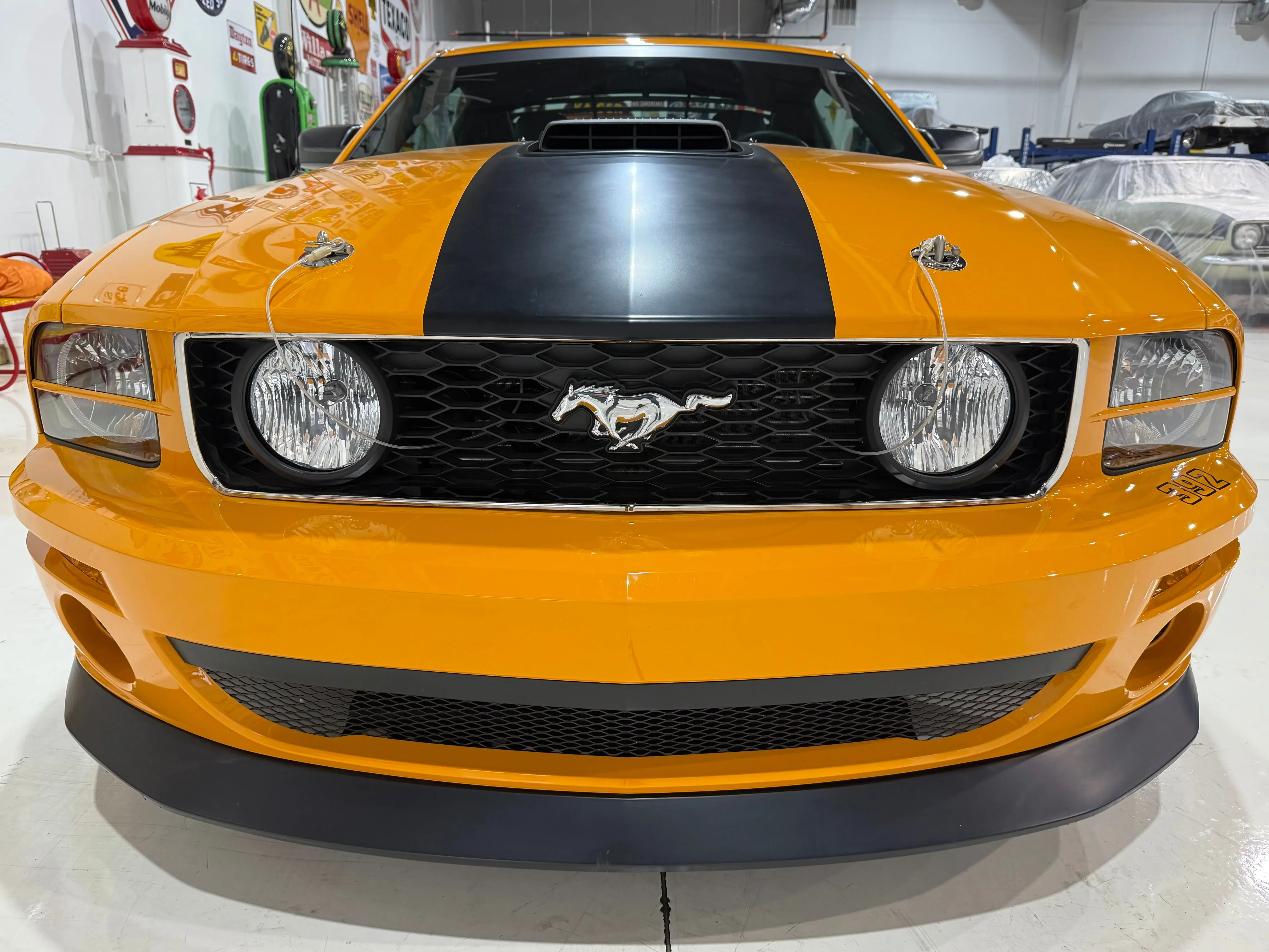 2007 Ford Mustang GT Deluxe photo 5