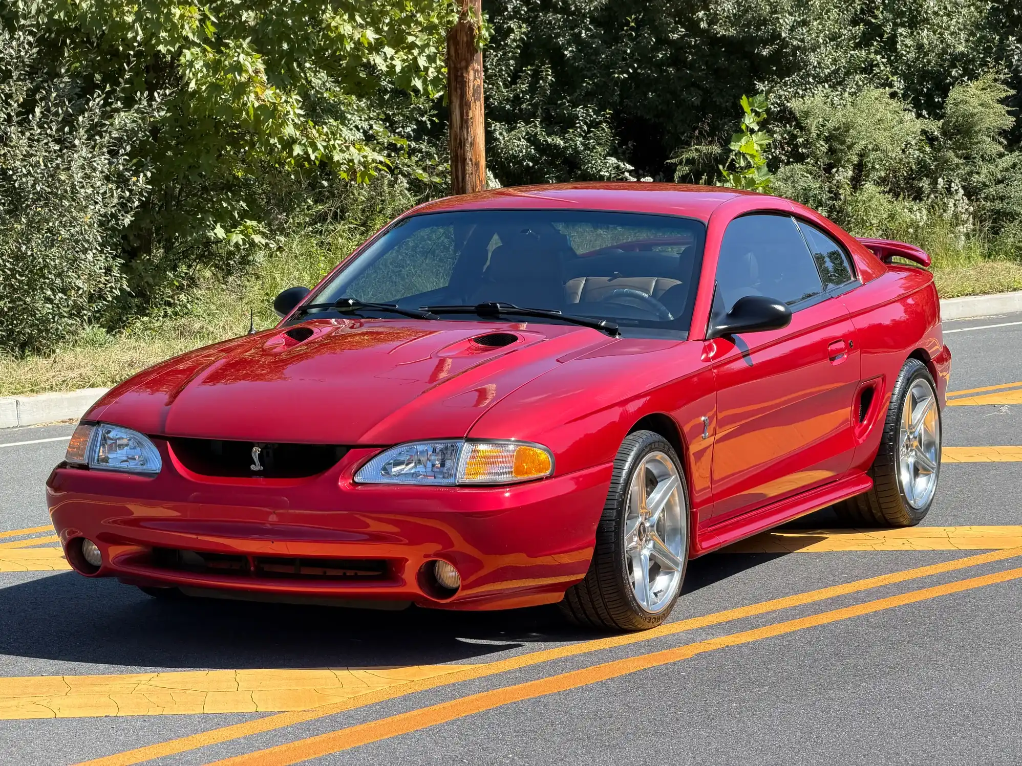 1996 Ford Mustang's photo
