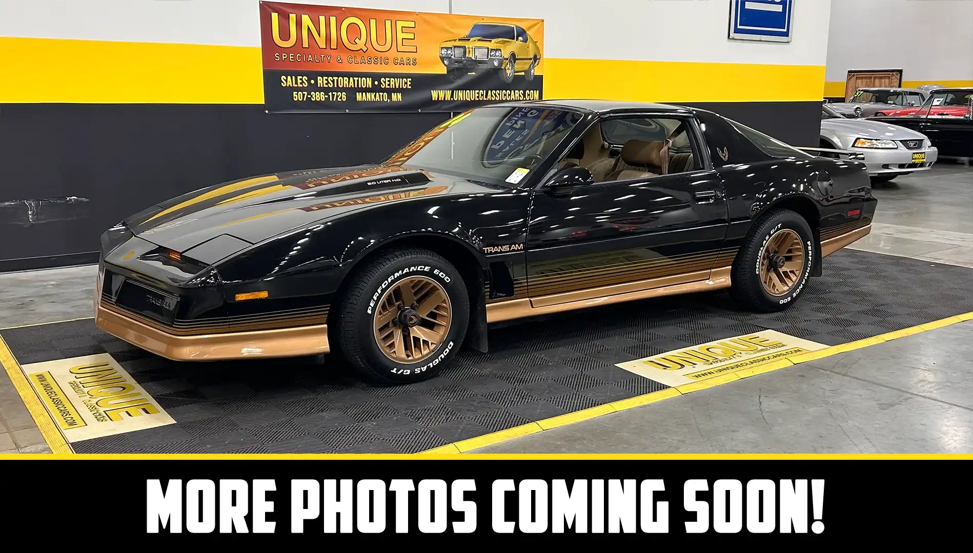 1984 Pontiac Firebird Trans Am's photo