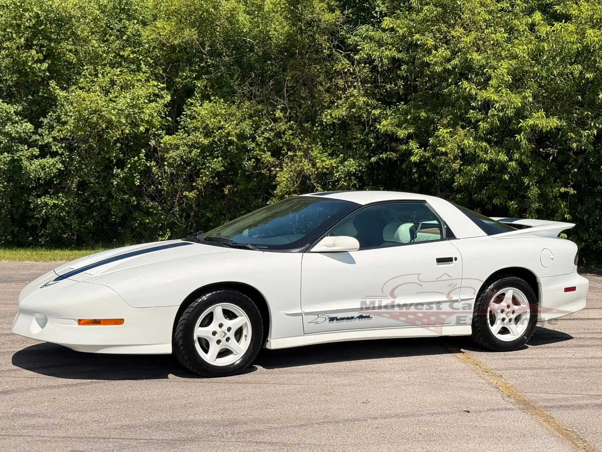 1994 Pontiac Firebird Trans Am 25th Anniversary's photo