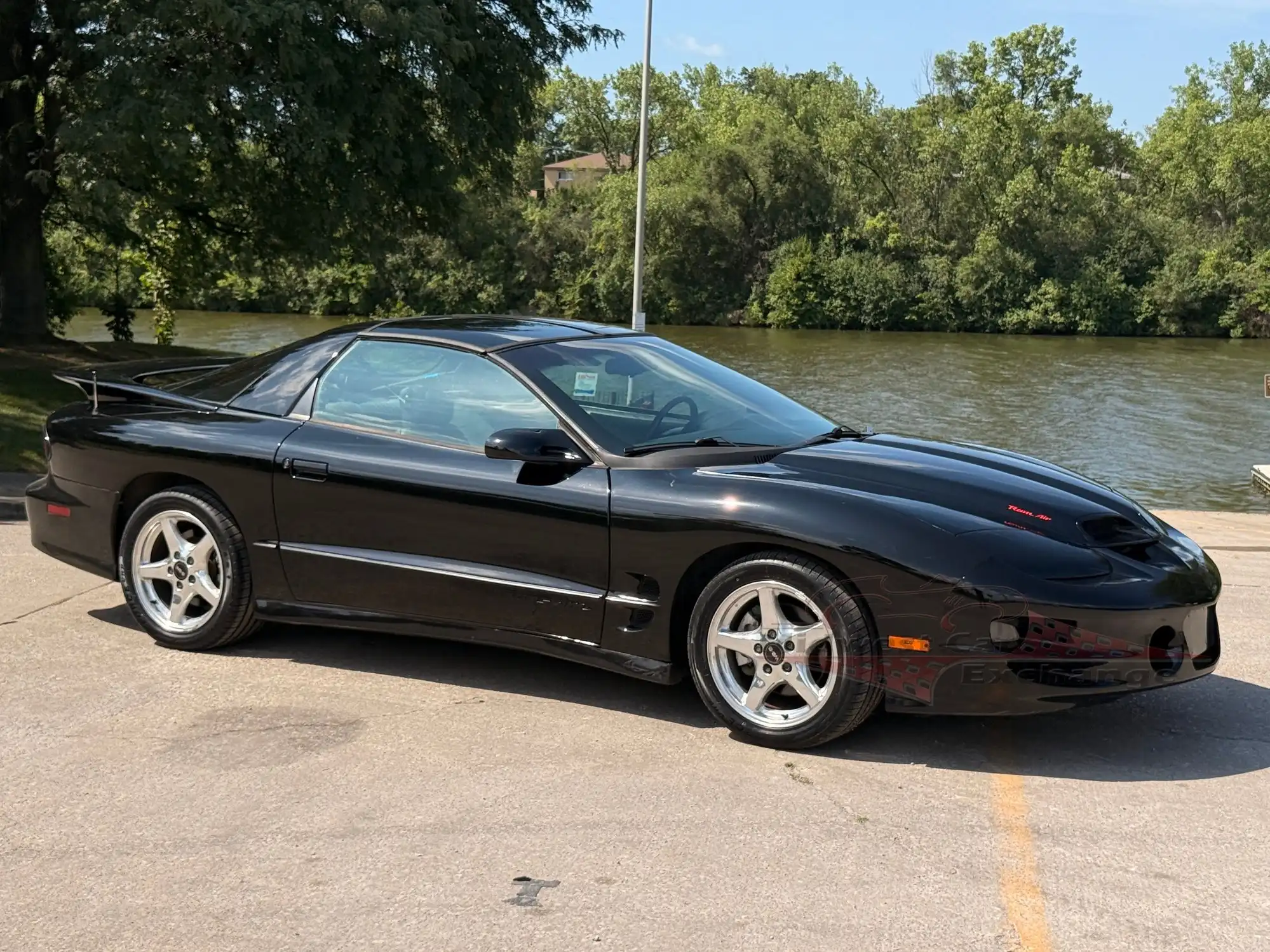 1999 Pontiac Firebird TRANS AM's photo