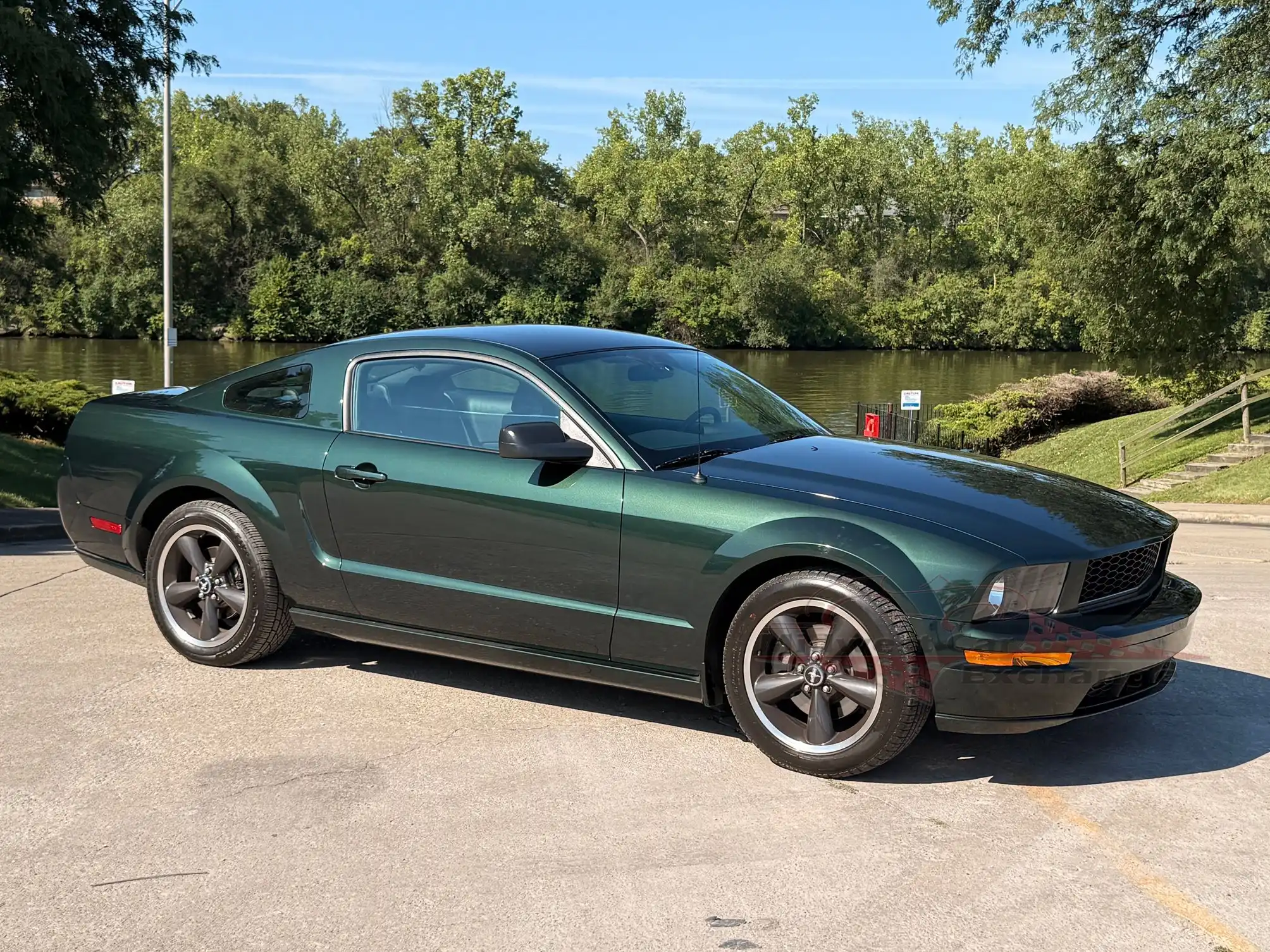 2008 Ford Mustang GT Deluxe's photo