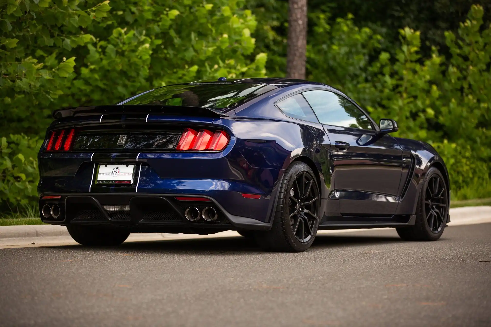 2018 Ford Mustang Shelby GT350's photo