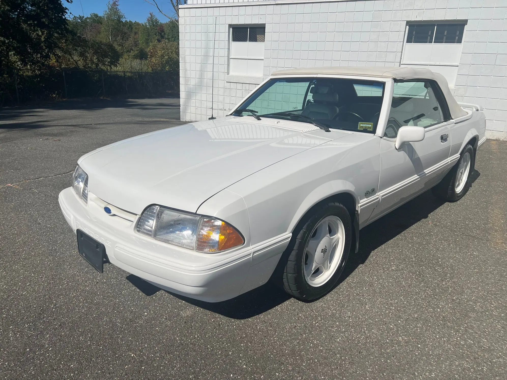 1993 Ford Mustang undefined photo 3