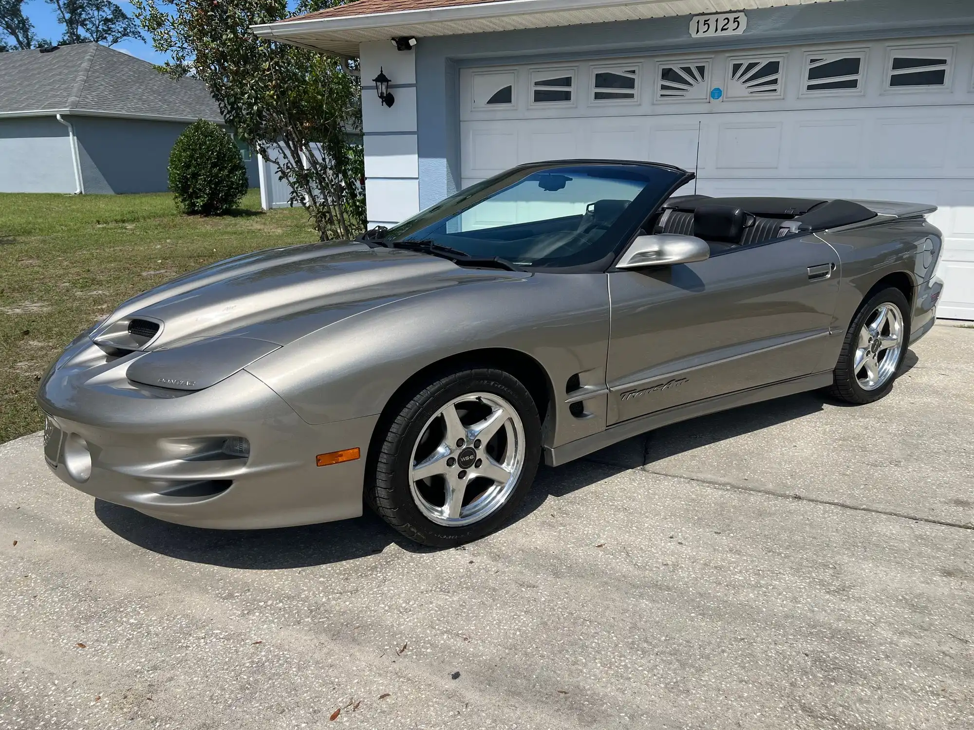 2000 Pontiac Firebird Trans Am's photo