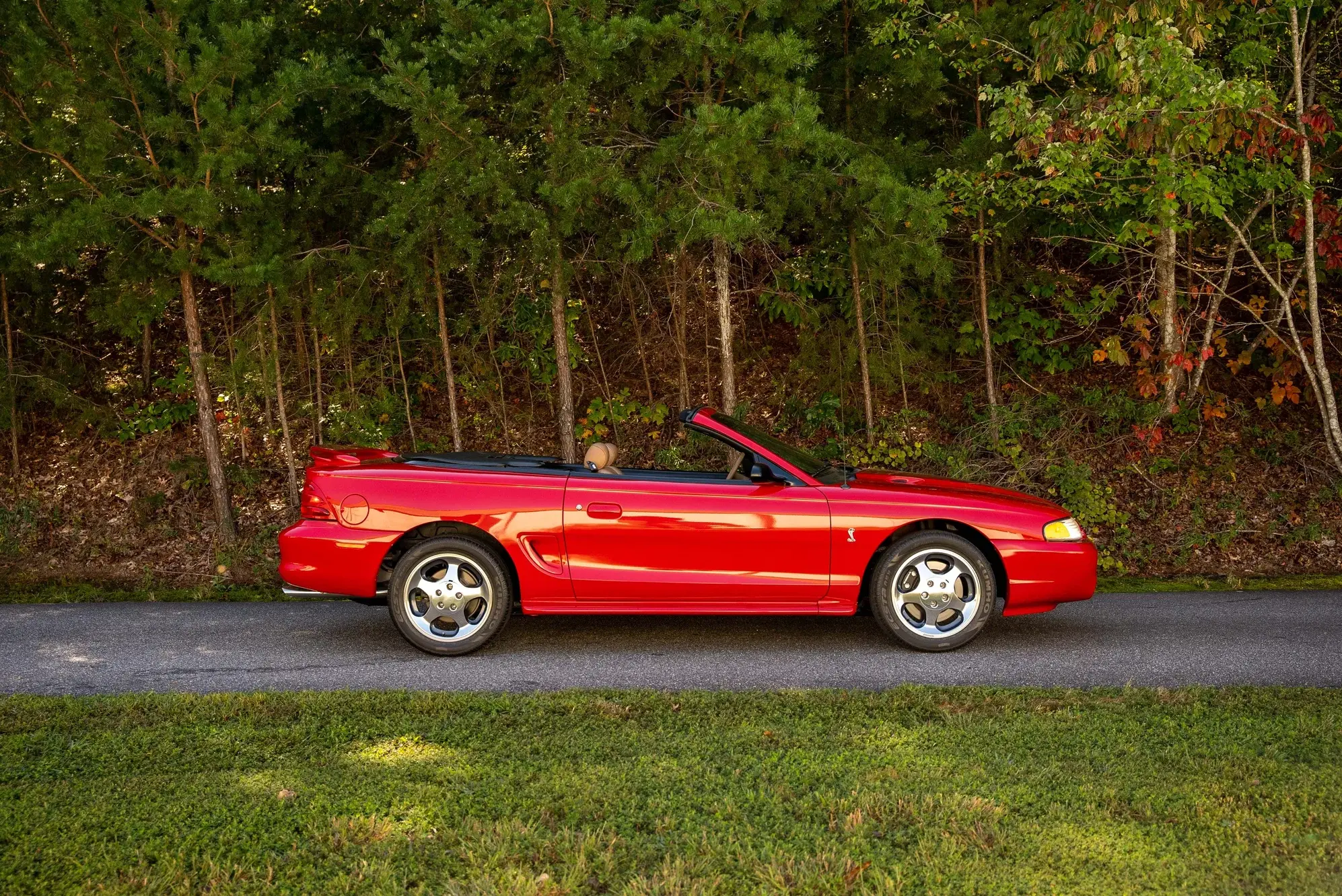 1994 Ford Mustang undefined photo 3
