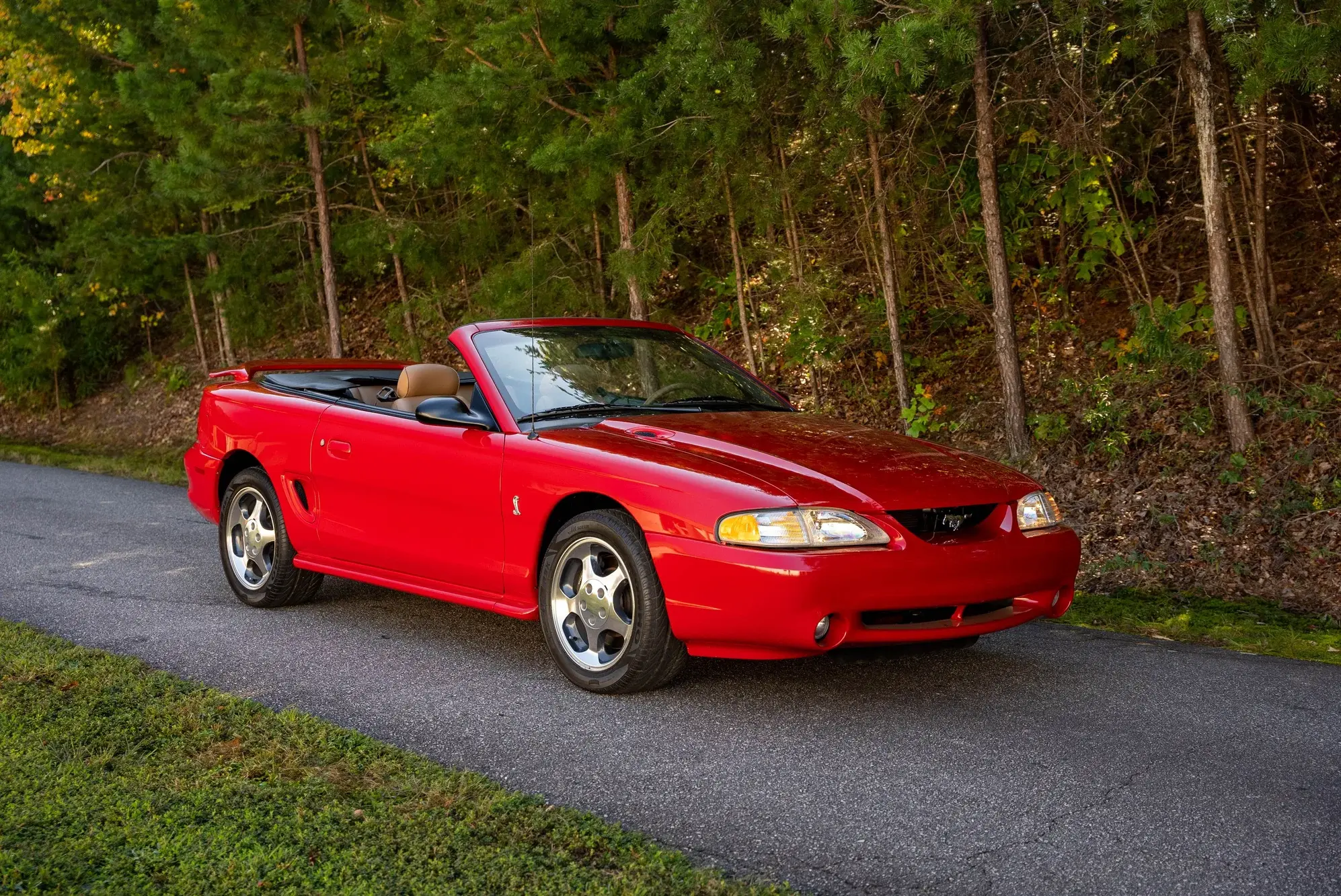 1994 Ford Mustang undefined photo 4