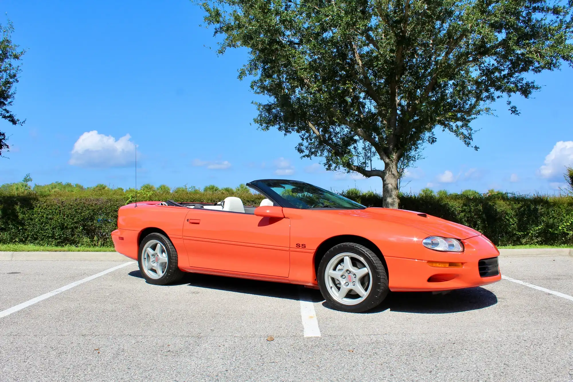 1999 Chevrolet Camaro Z28 CONVERTIBLE's photo