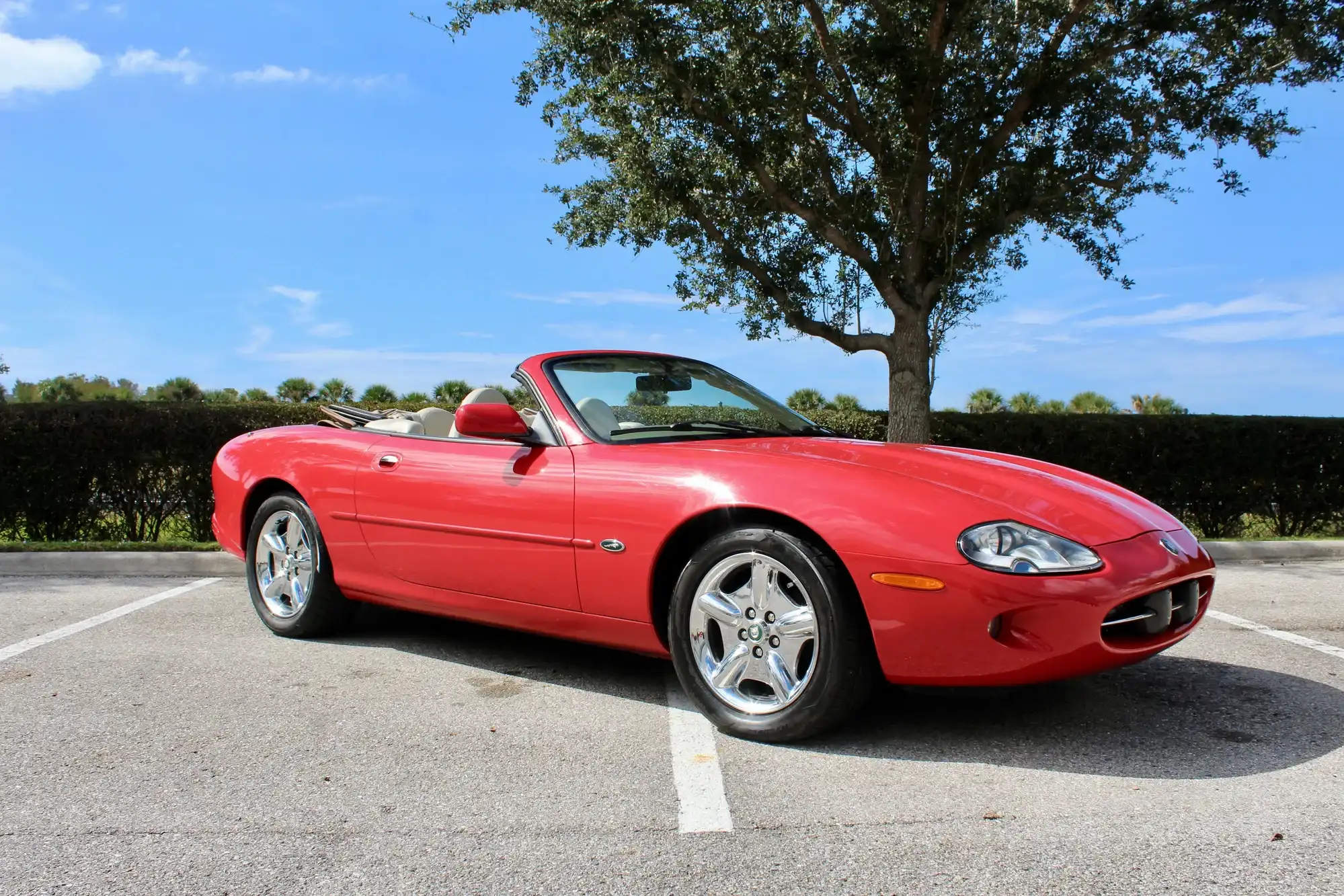 1999 Jaguar XK XK8's photo