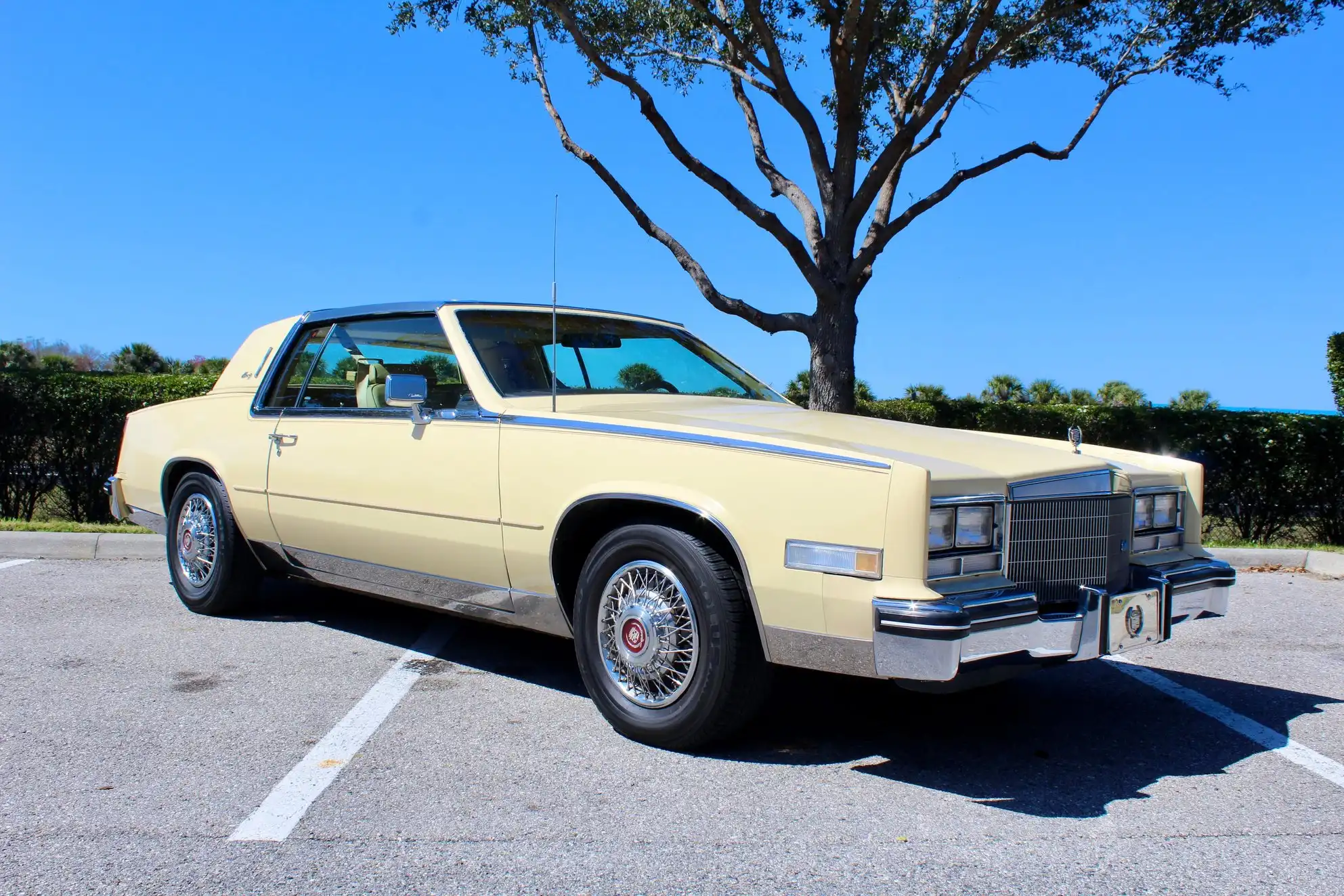 1985 Cadillac Eldorado's photo