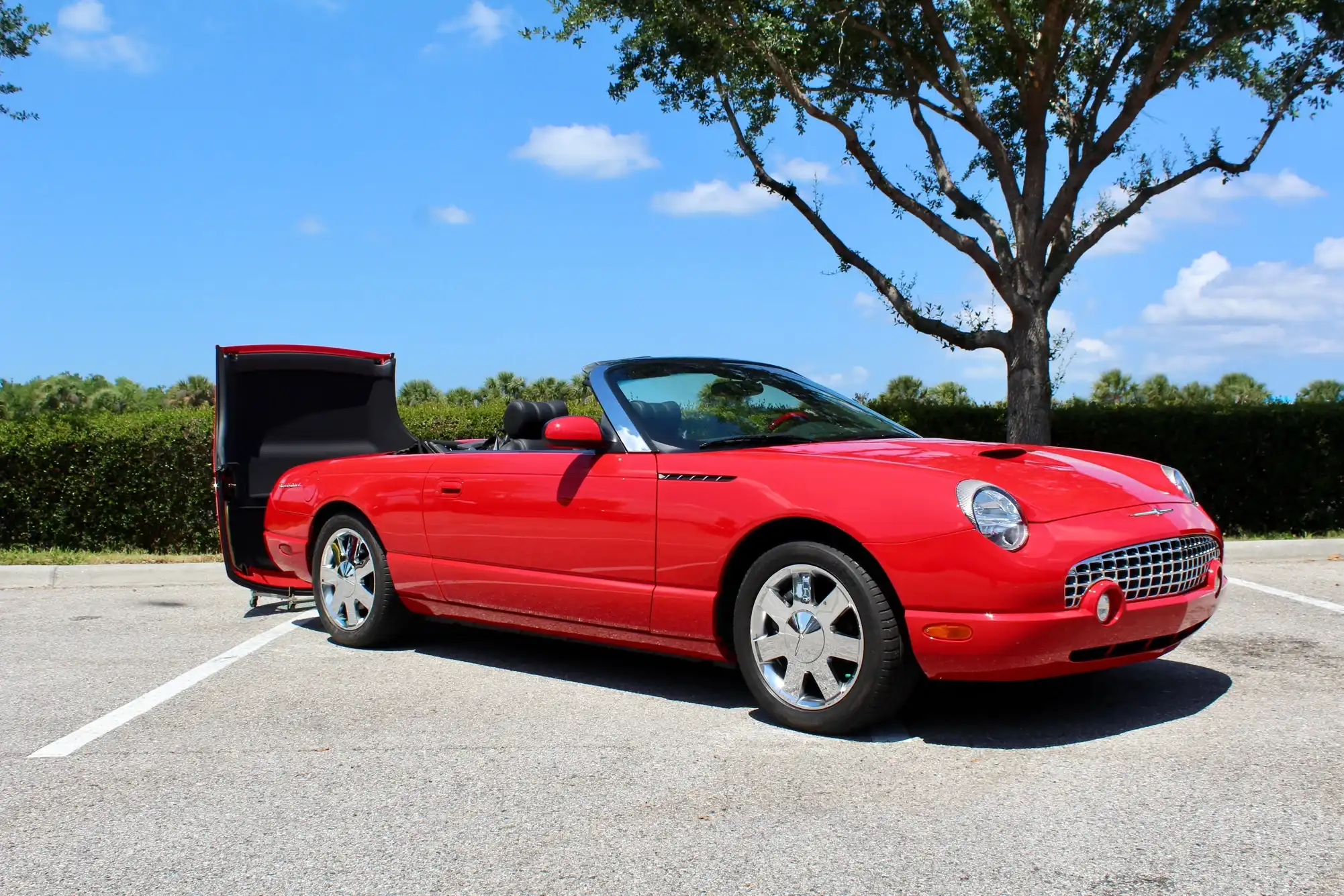 2002 Ford Thunderbird Premium With Removable Top's photo