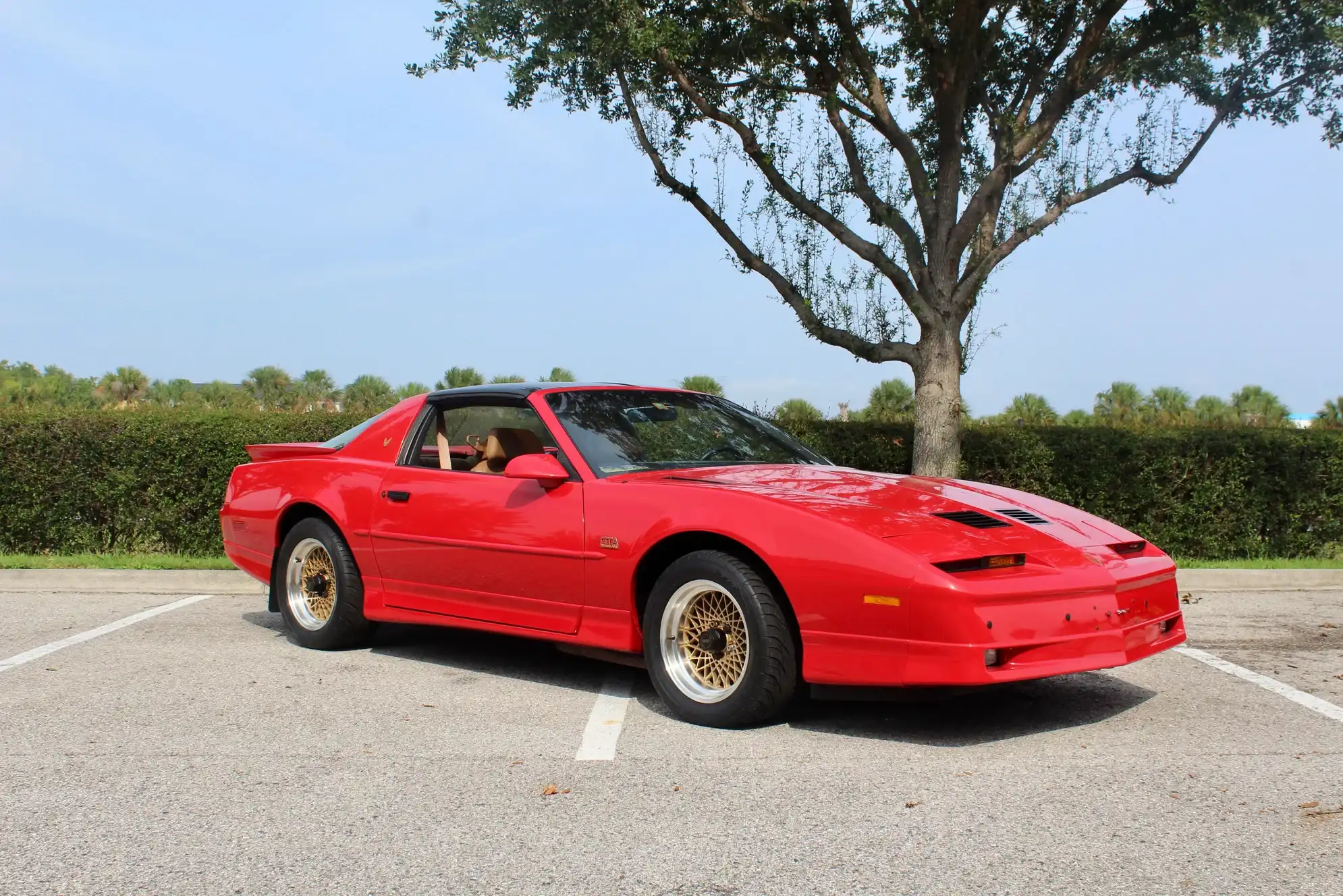 1989 Pontiac Firebird's photo