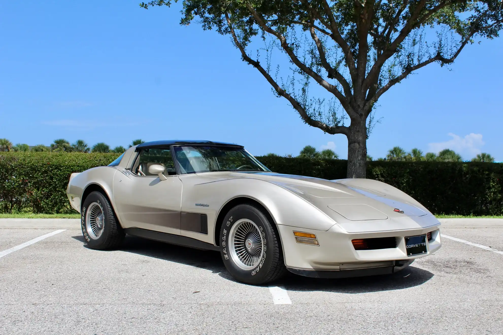 1982 Chevrolet Corvette's photo