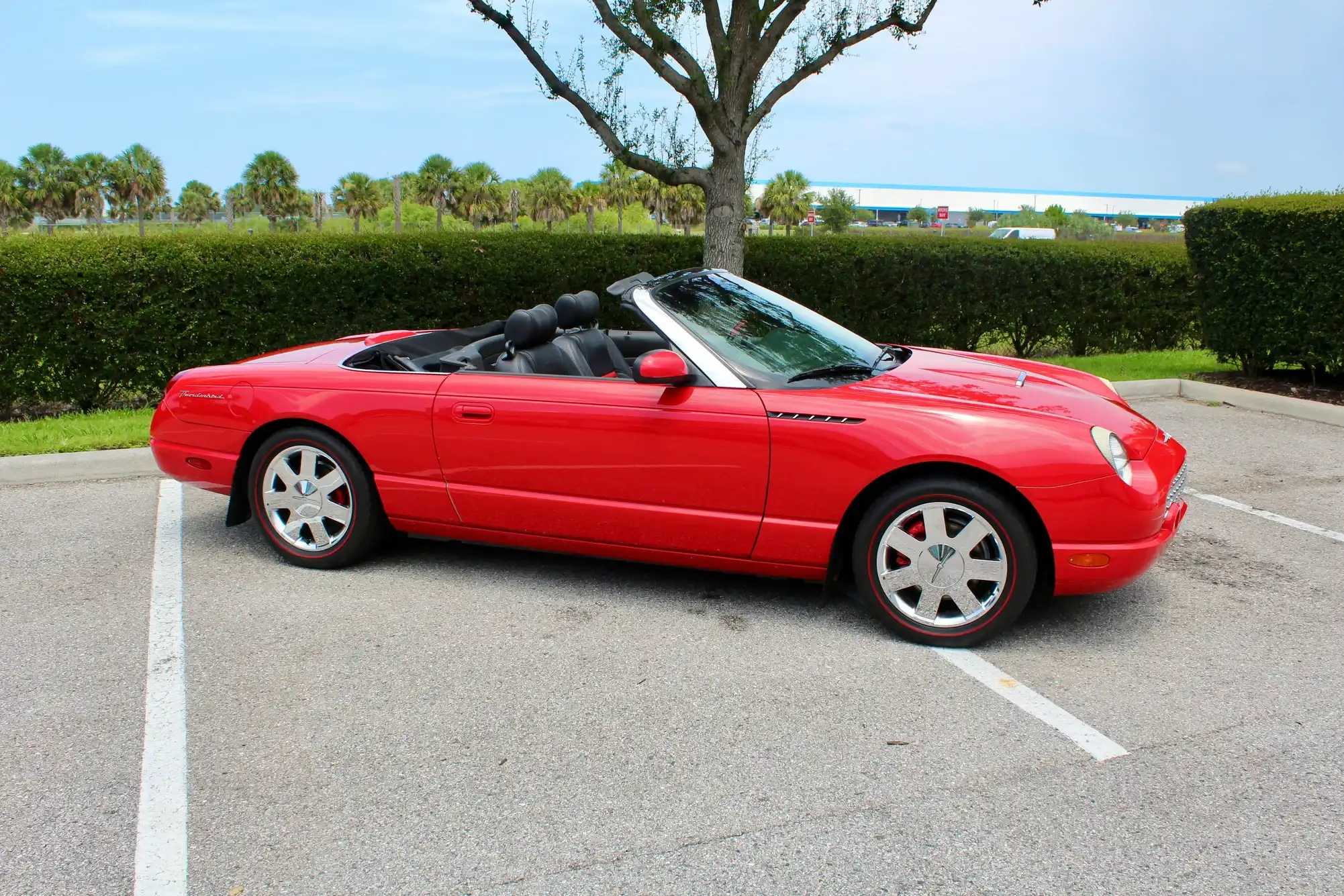 2002 Ford Thunderbird Premium With Removable Top's photo