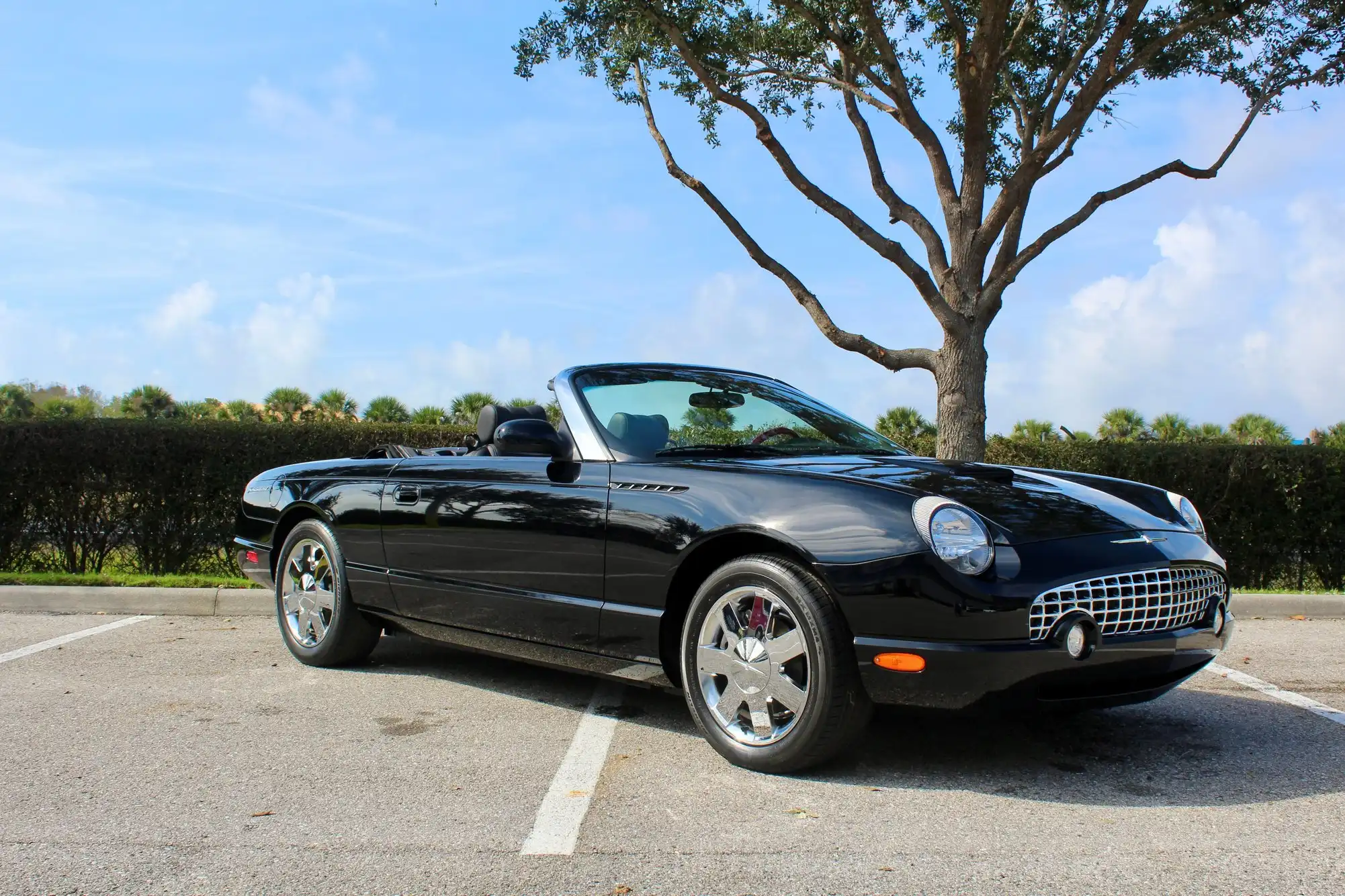 2002 Ford Thunderbird Premium's photo