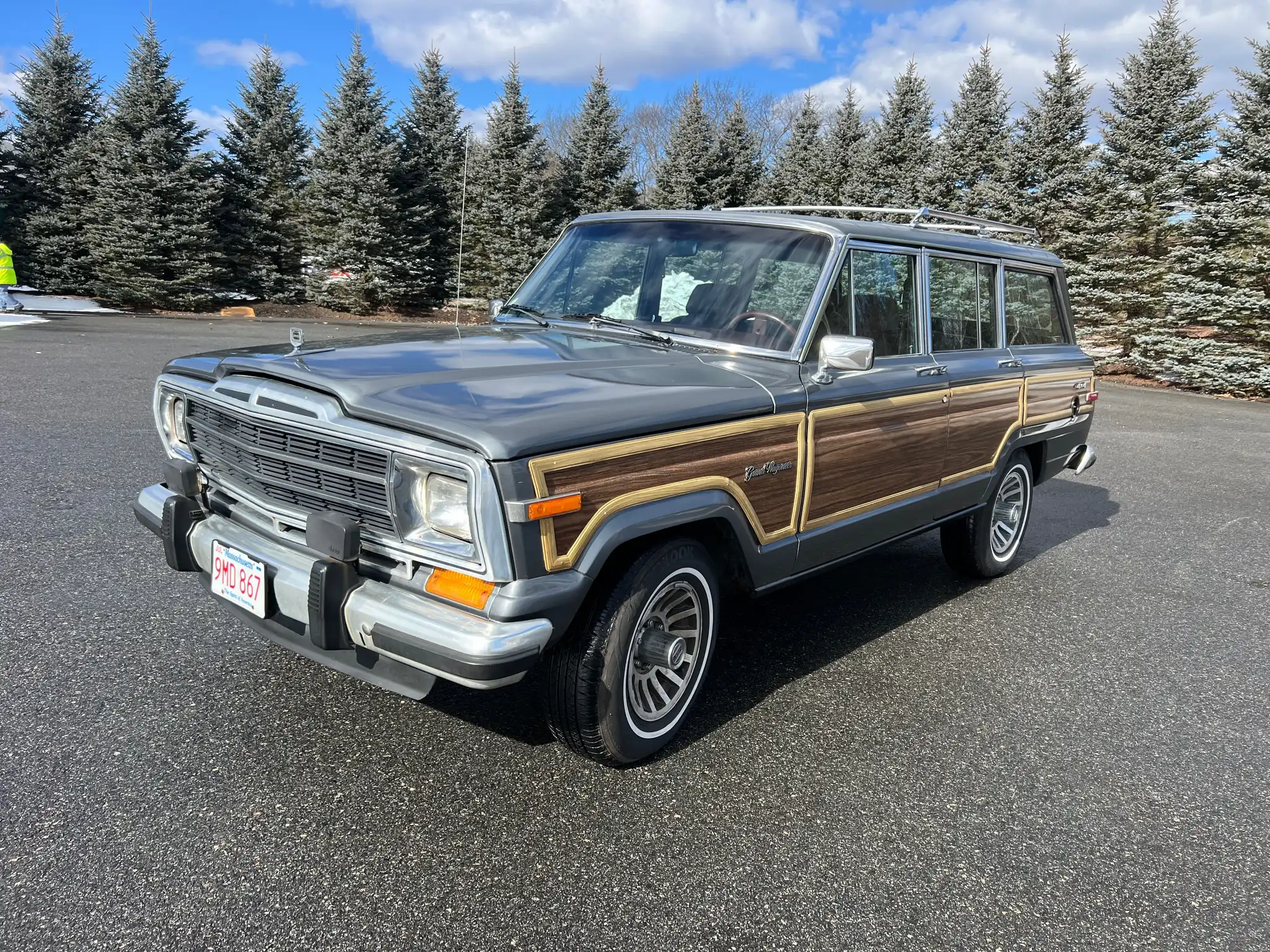 1989 Jeep Grand Wagoneer's photo
