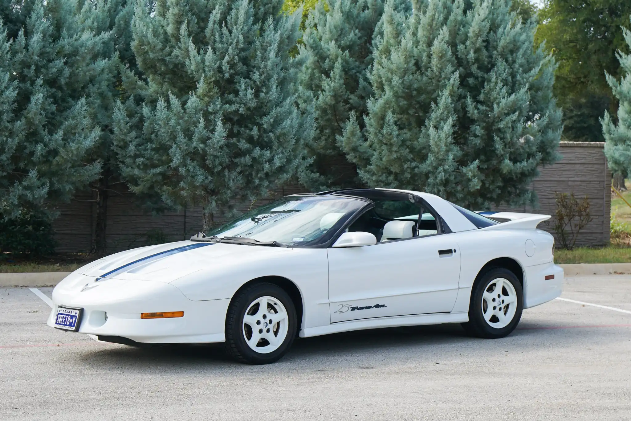 1994 Pontiac Firebird Trans Am's photo