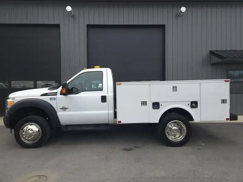 2015 Ford F-550's photo
