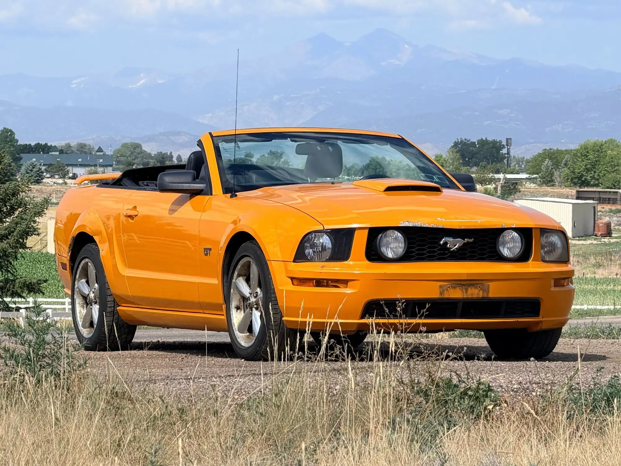 2007 Ford Mustang GT Premium's photo