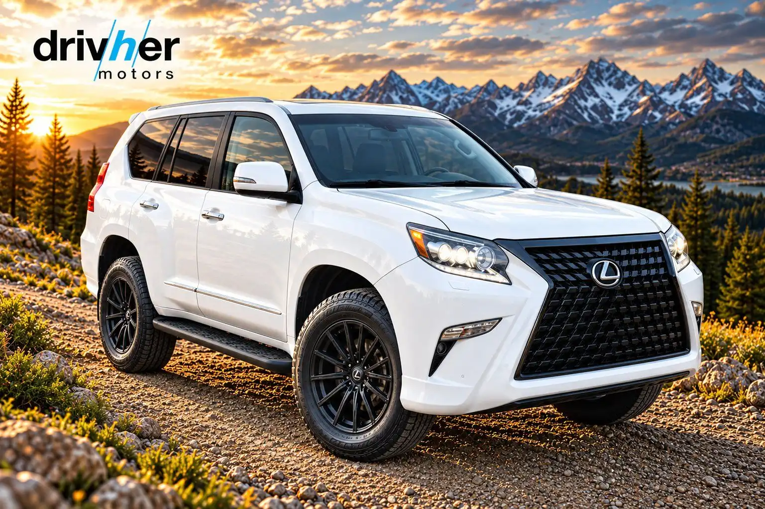 2019 Lexus GX 460 460's photo