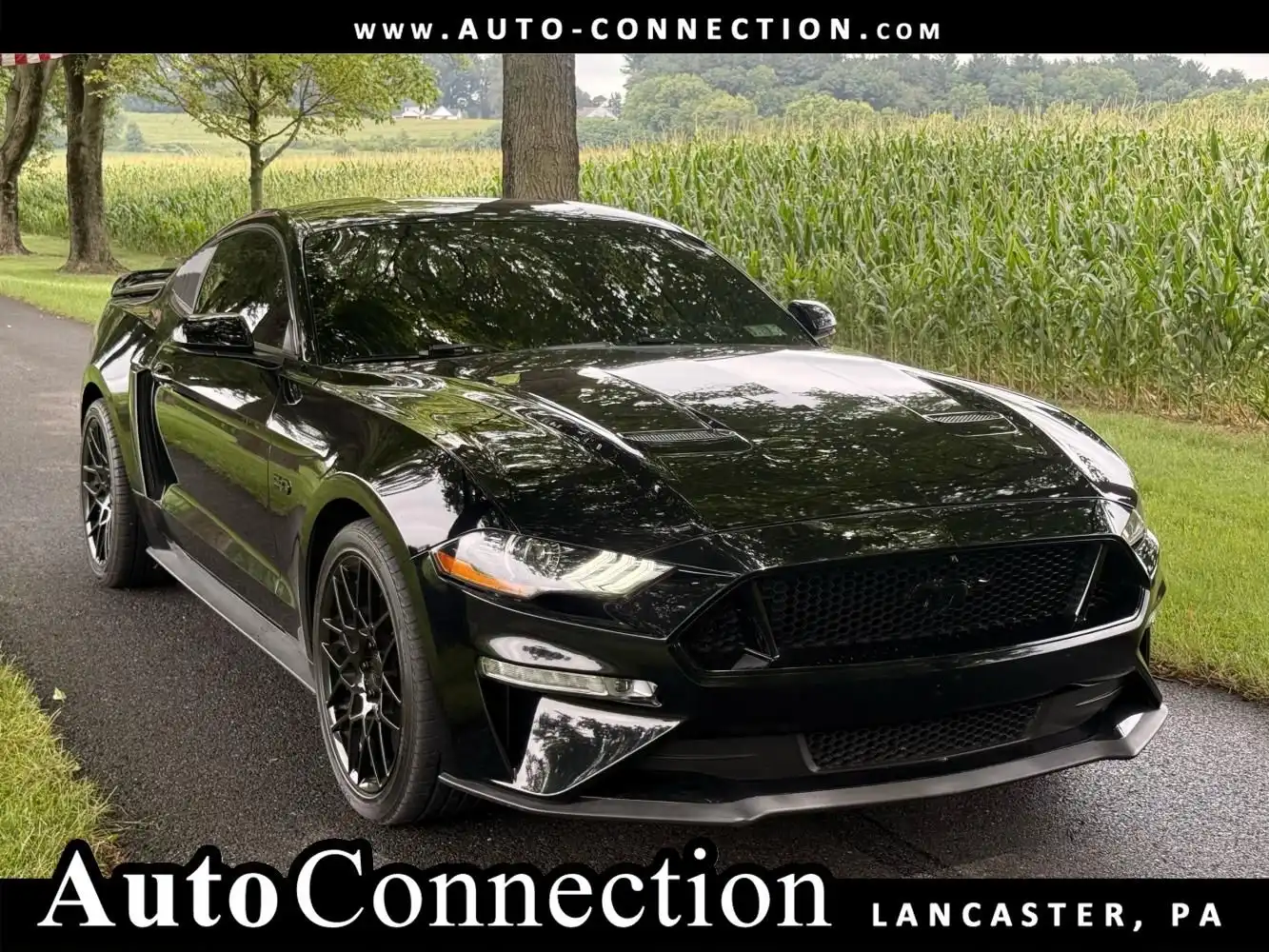2018 Ford Mustang GT Coupe's photo