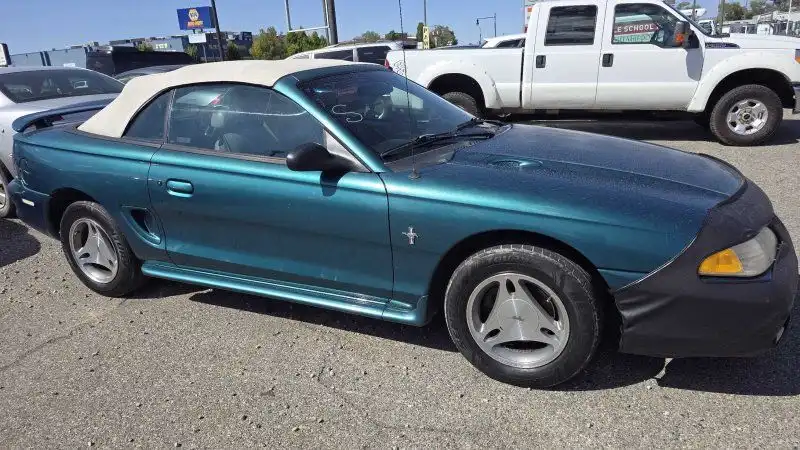 1998 Ford Mustang 98's photo