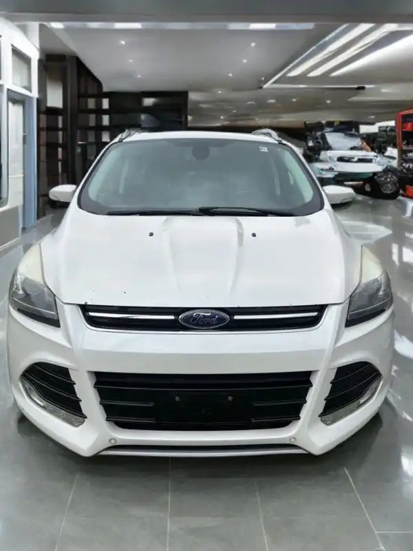2014 Ford Escape Titanium 4WD's photo