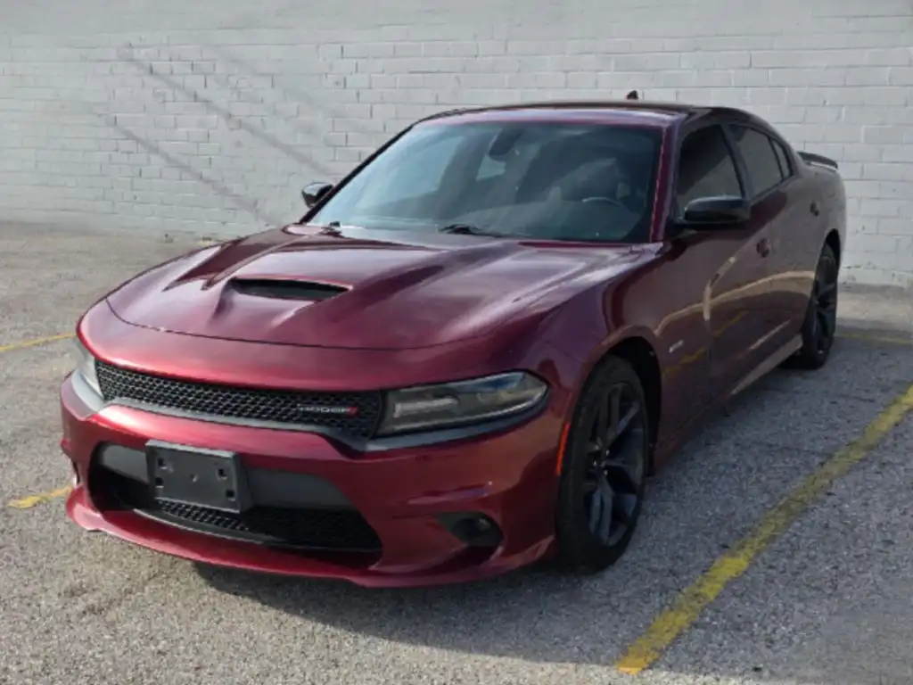 2019 Dodge Charger R/T's photo