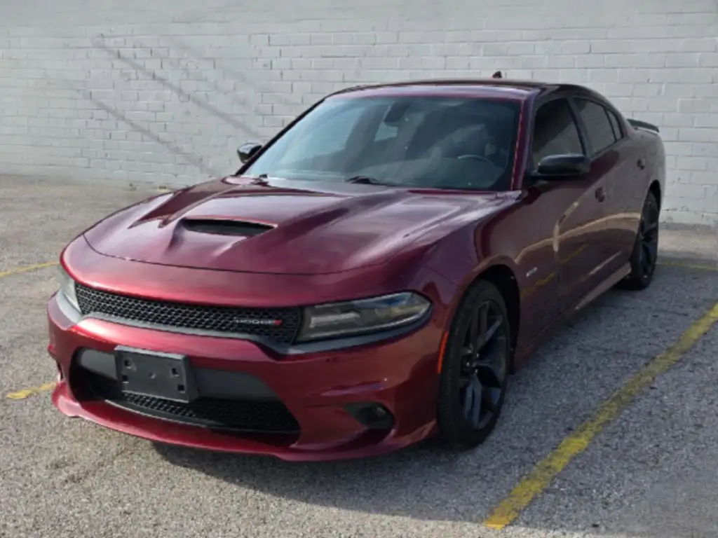 2019 Dodge Charger R/T's photo