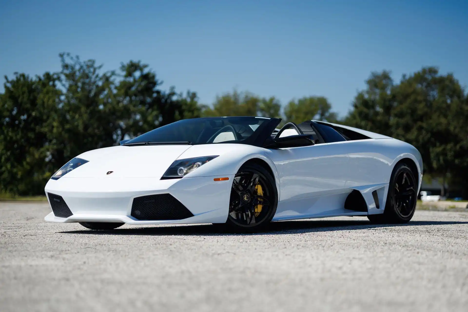 2008 Lamborghini Murcielago LP640 Roadster's photo