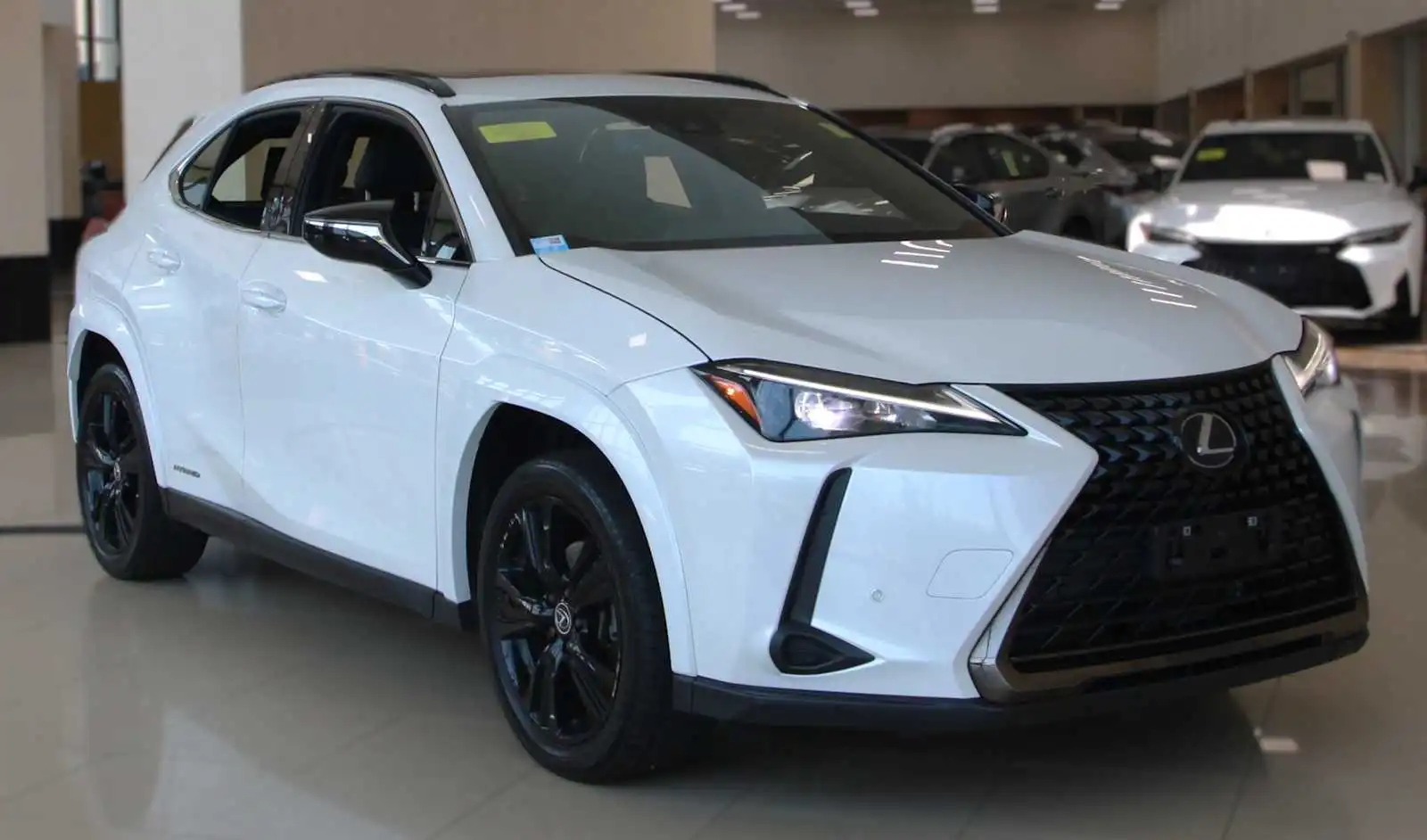 2021 Lexus UX 300h 250h AWD's photo
