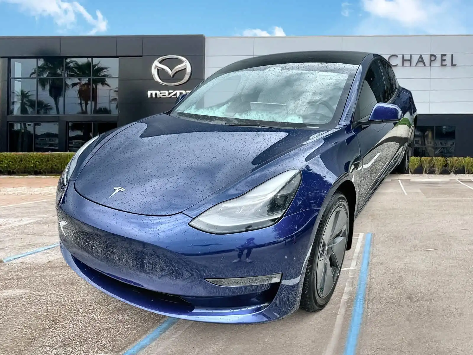 2023 Tesla Model 3 Base's photo