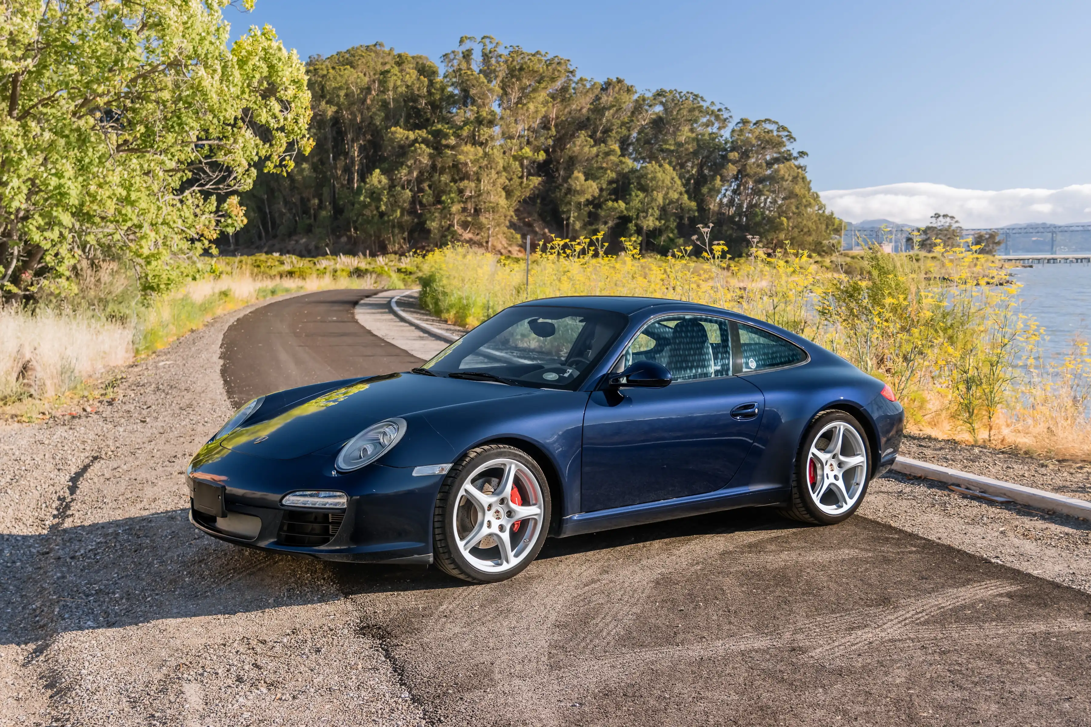 2009 Porsche 911 Carrera S Coupe's photo