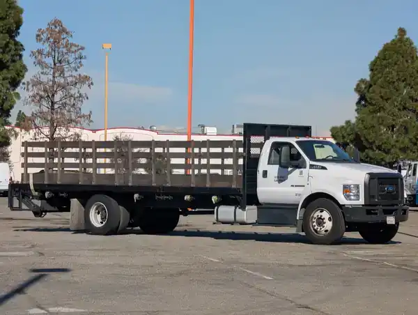 2019 Ford F-650's photo